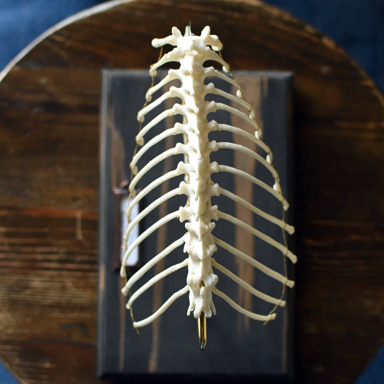 8aebb82f01378b00727d008f912ada