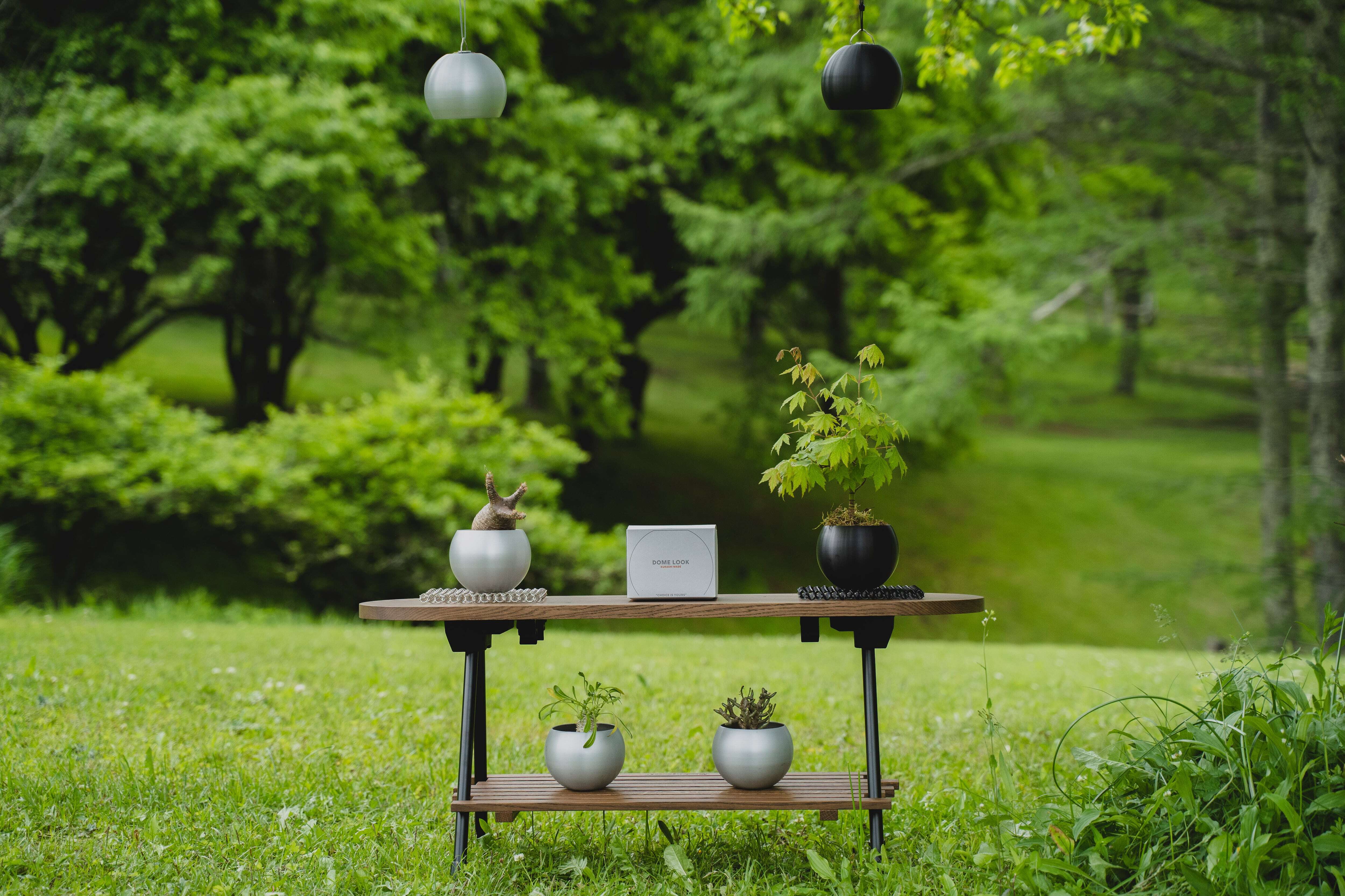 DOME LOOK | CAN FEEL