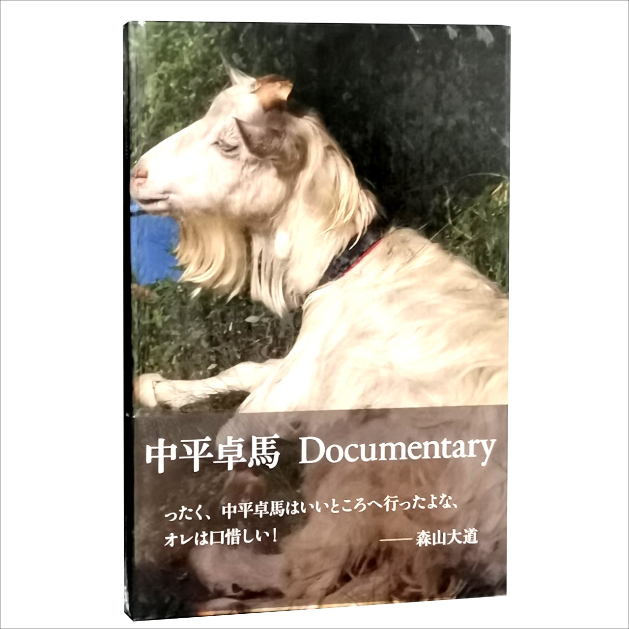 中平卓馬 / Documentary, Takuma Nakahira | PRESSMAN BOOKS
