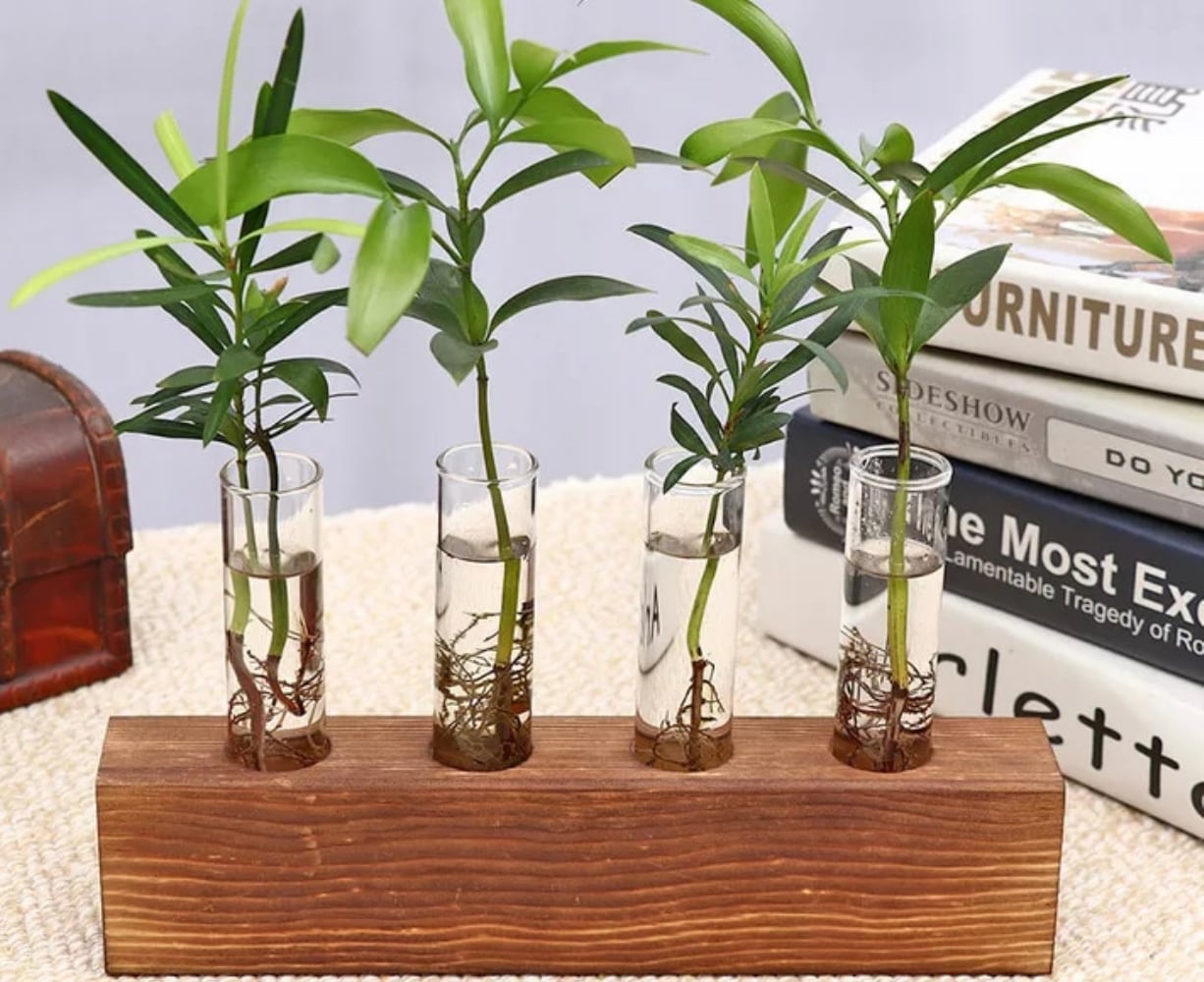 917d847787e5a51cfb59e152313fad