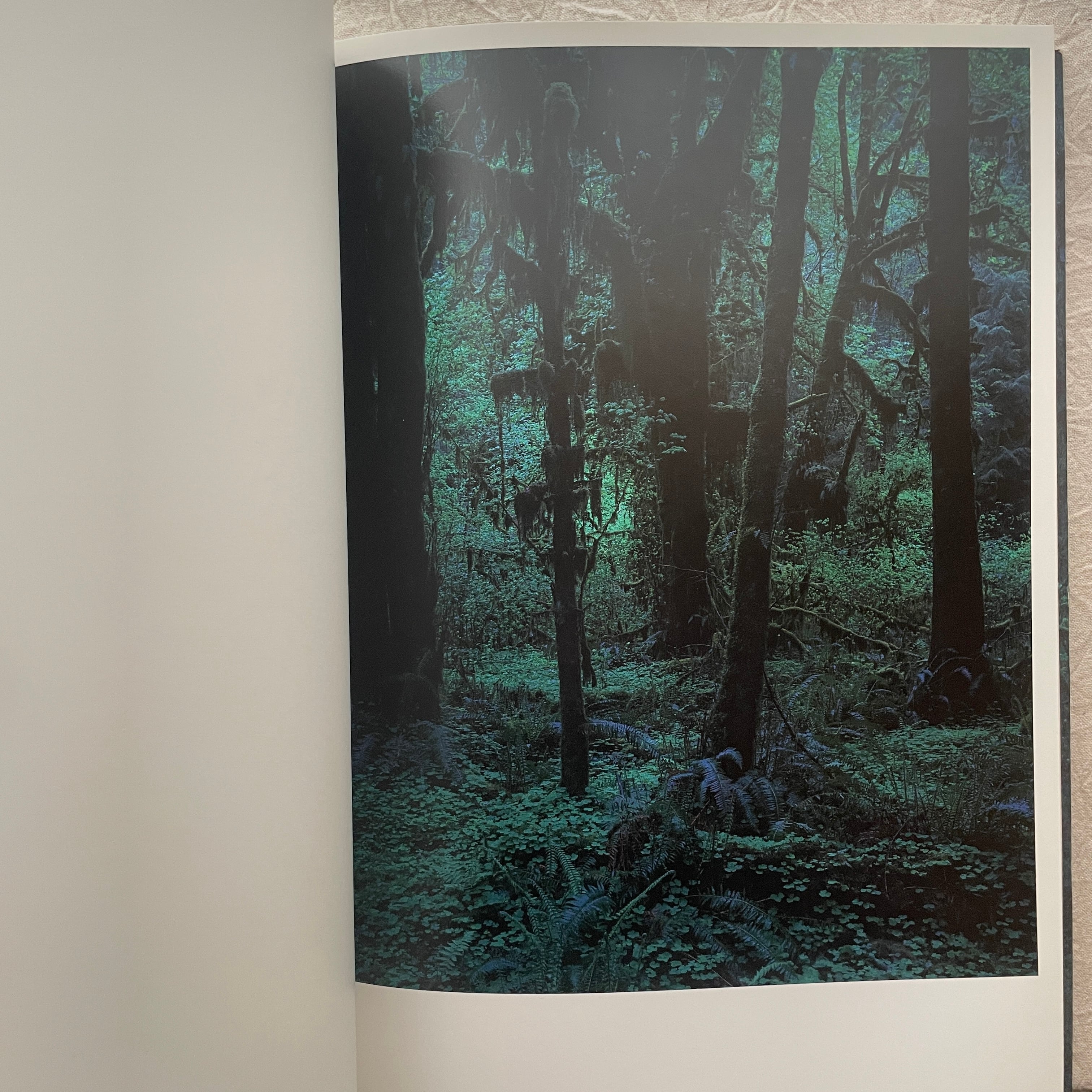 QUINAULT / 上田義彦(Yoshihiko Ueda) | 汀線 / TEISEN BOOKS