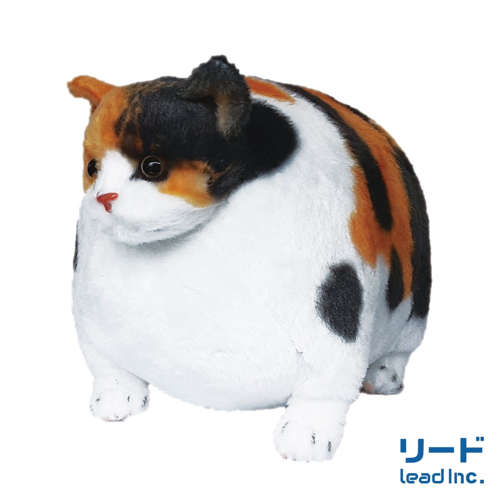 ふとっちぃZooにゃんこ みけねこ | リードのおみせ Catail