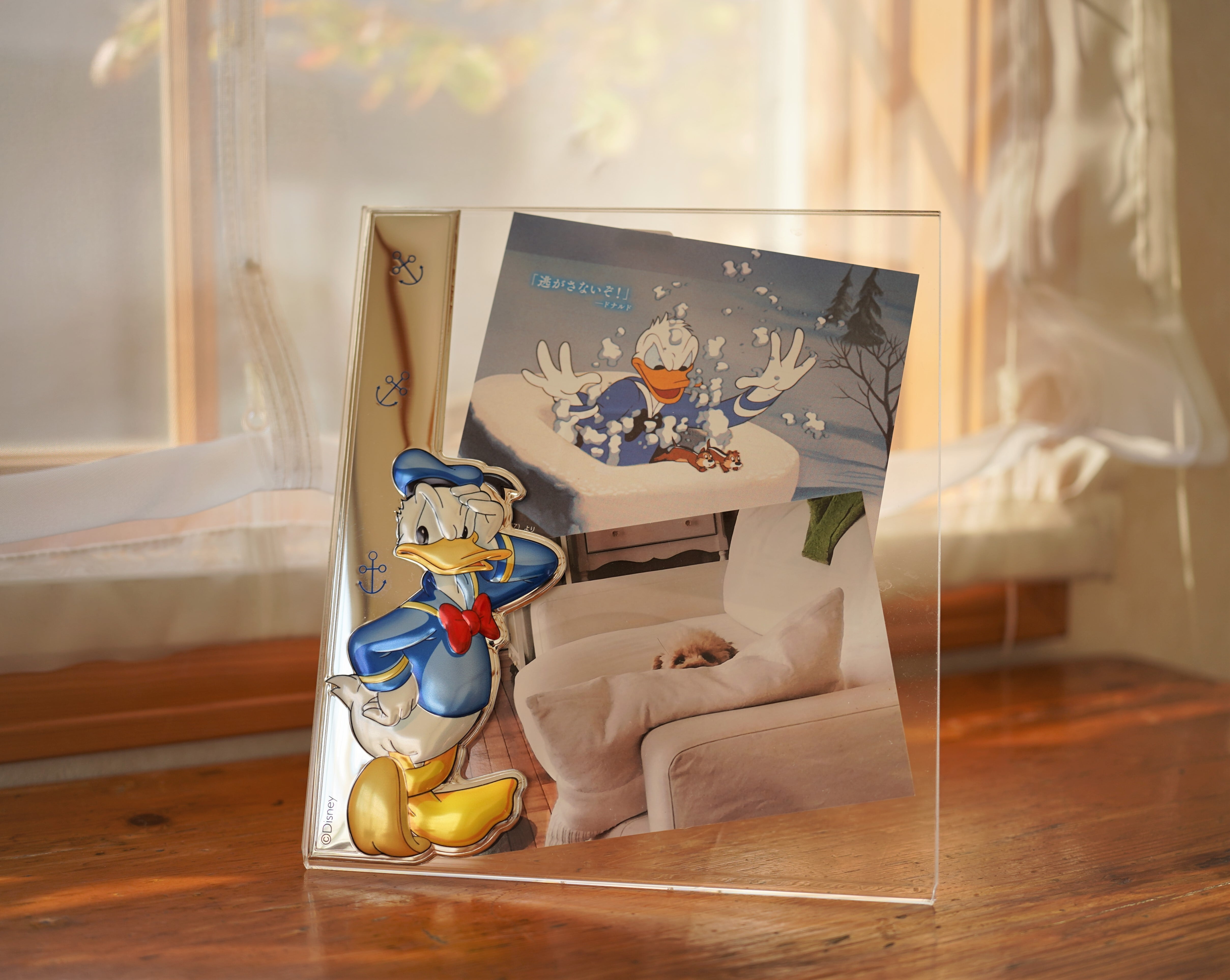 プレキシガラスフォトフレームA 〈ドナルド〉 | ヴァレンティ Japan