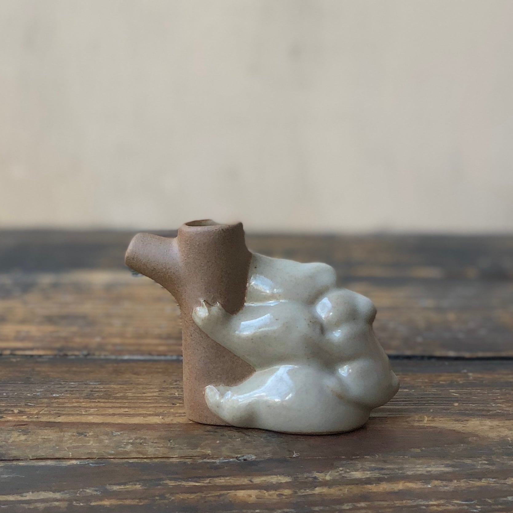 sen 花入れ コアラ | 器と雑貨ボタニカル