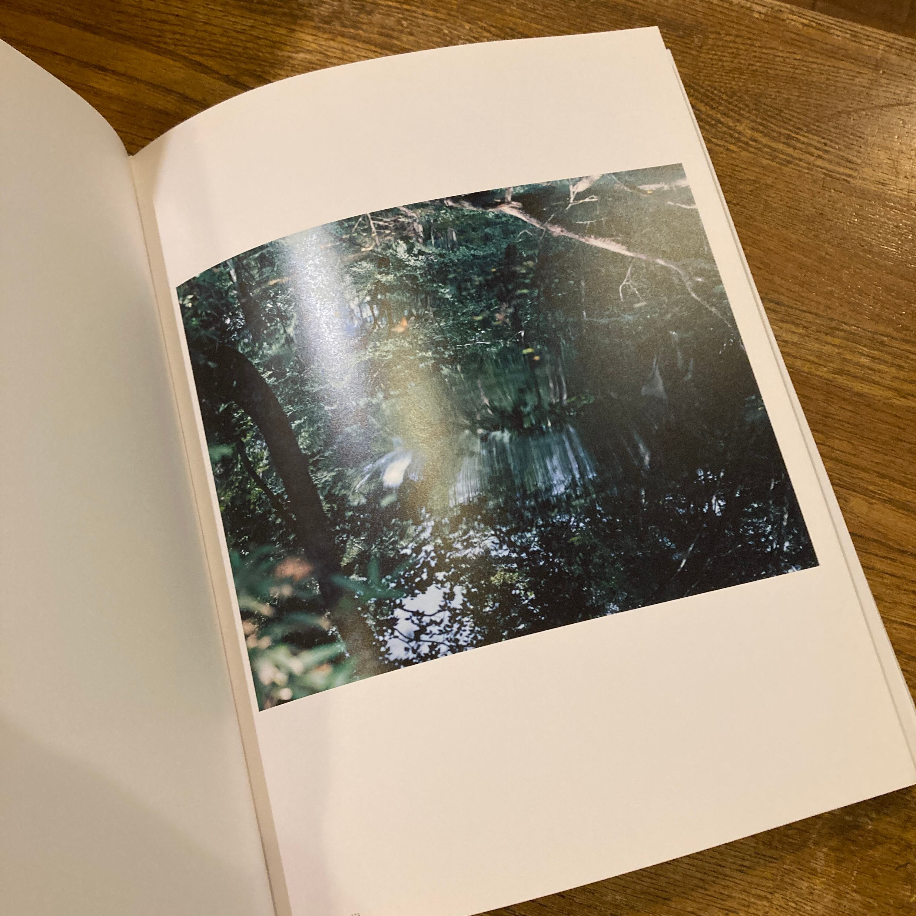 鈴木理策写真集 意識の流れ Stream of consciousness: Risaku Suzuki