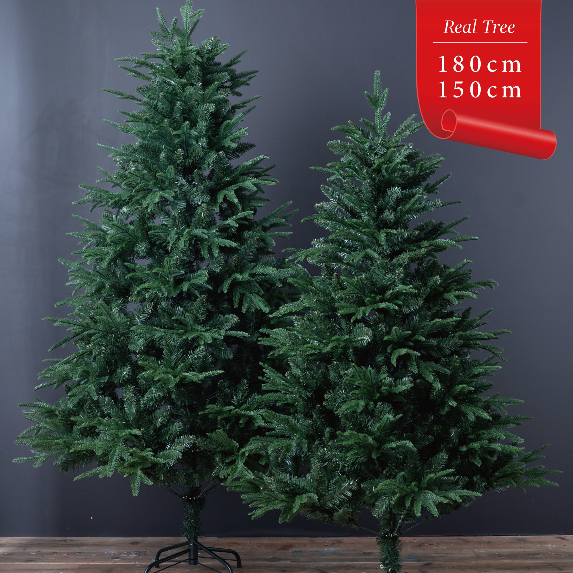 0053c0e9db1de2152319d127382cb5