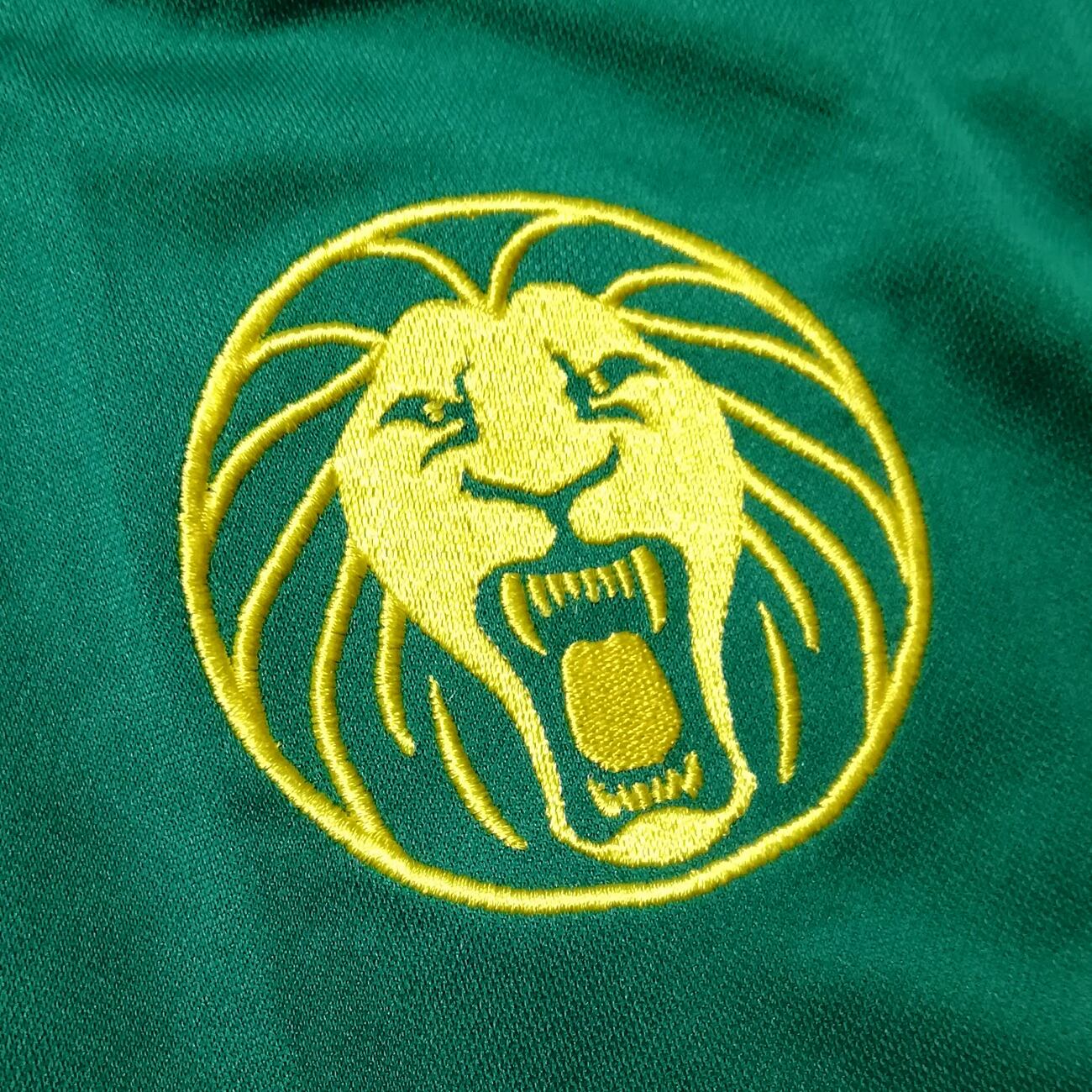 カメルーン代表 2010 Puma ホーム半袖 ユニフォーム（インポートM