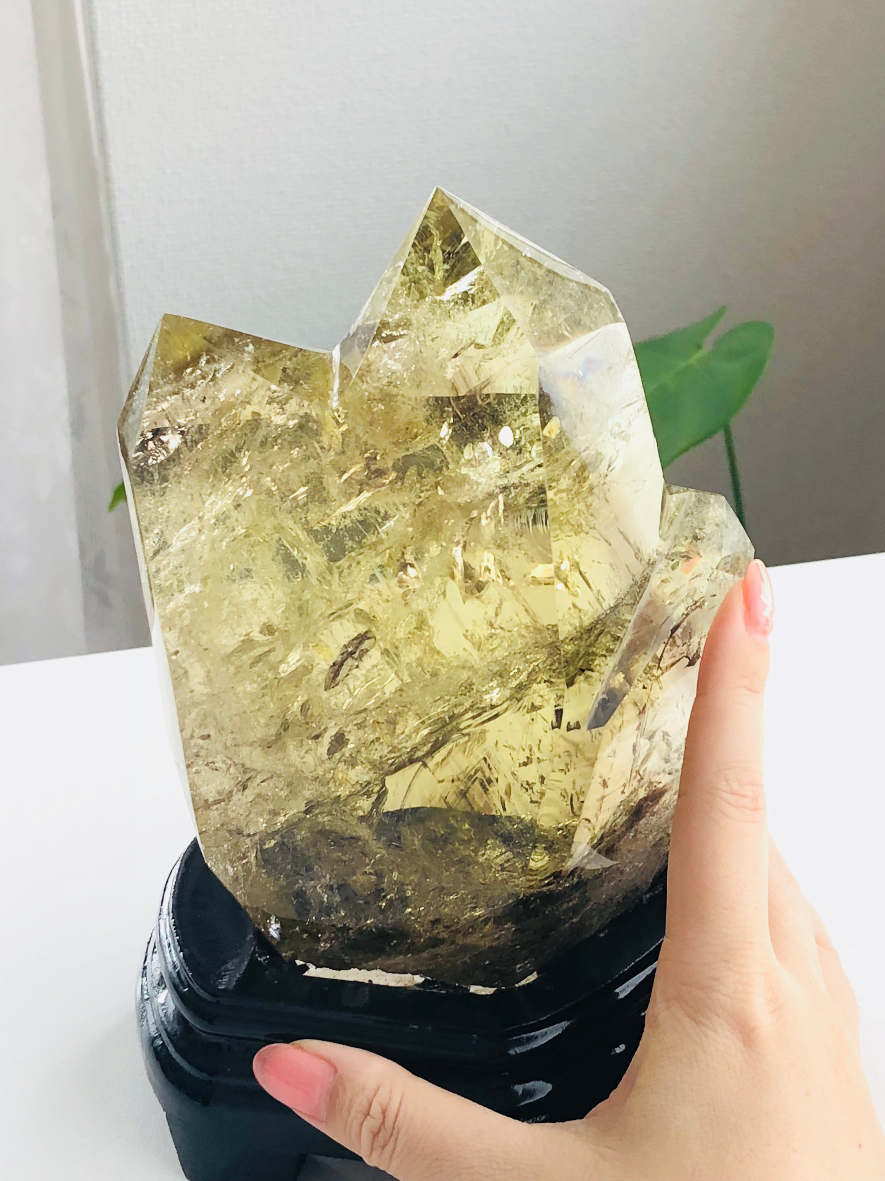 06c088bd0c3b5b61b8e812e975dc87