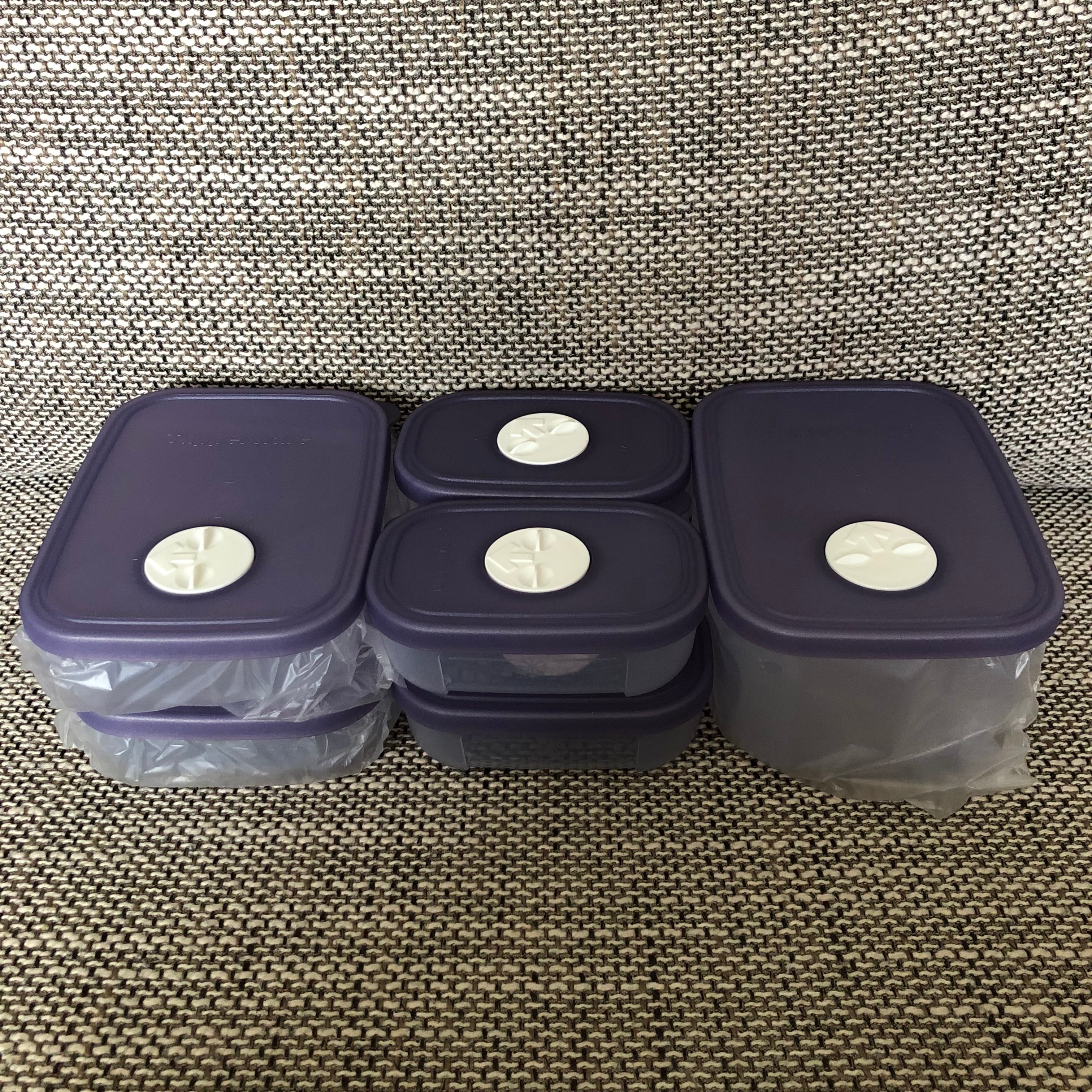 フリーザーメイトセット 【 Tupper ware タッパーウェア