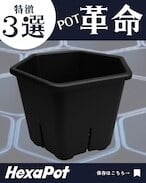 HexaPot 〝ヘキサポット〟5号サイズ 30ポットセット | Pay ID