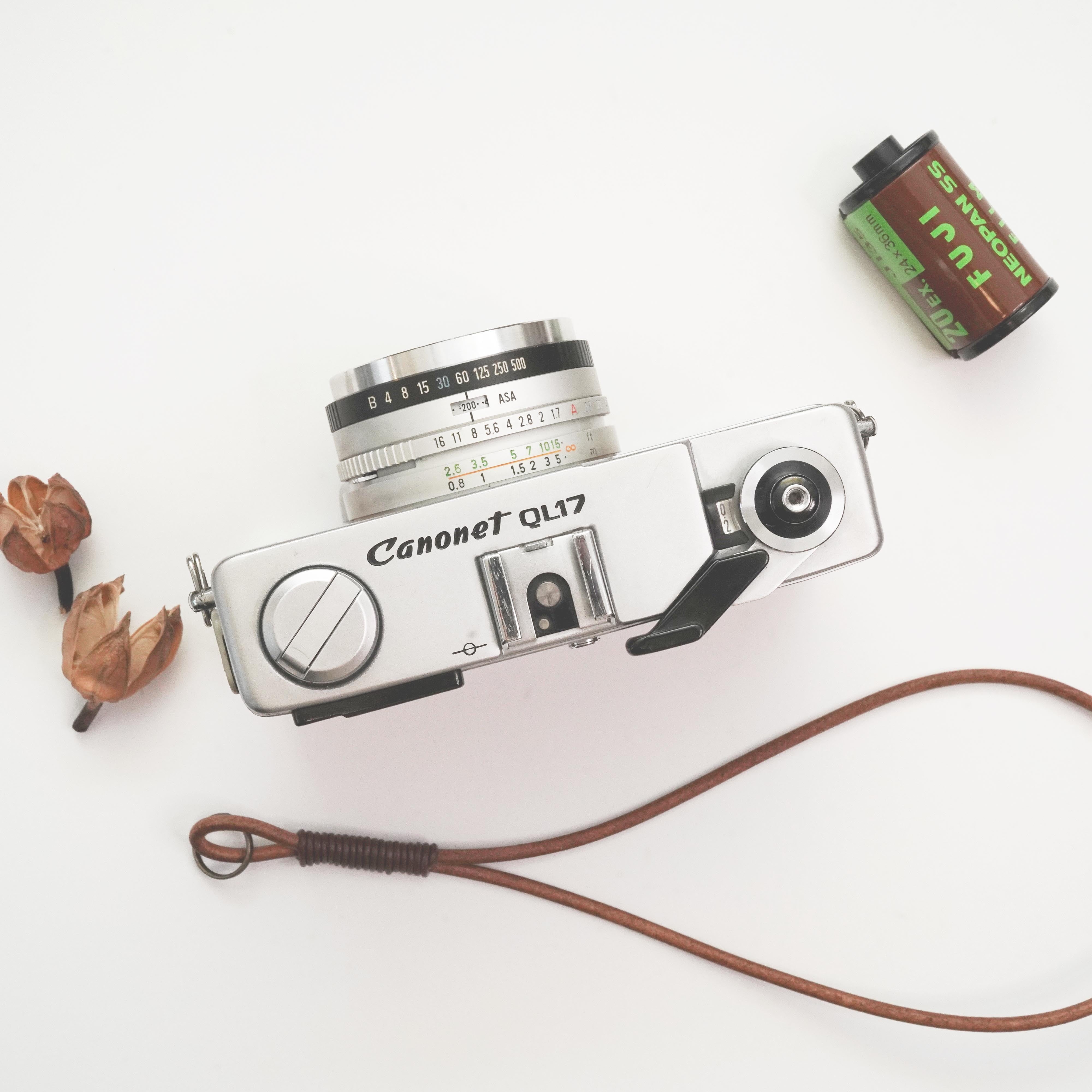 Bird's Eye Maple バーズアイメープル CANON CANONET QL17 (QL17 Giii