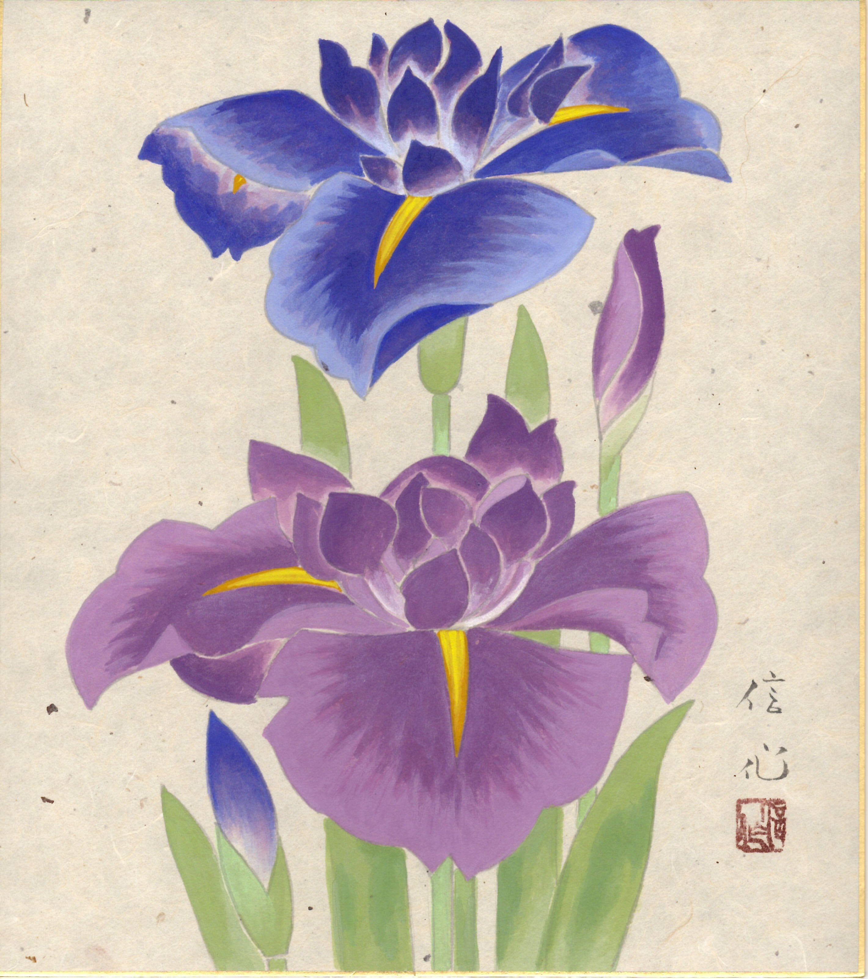 梅木信作「菖蒲」色紙絵 | 吉村唐木店 WEBSHOP