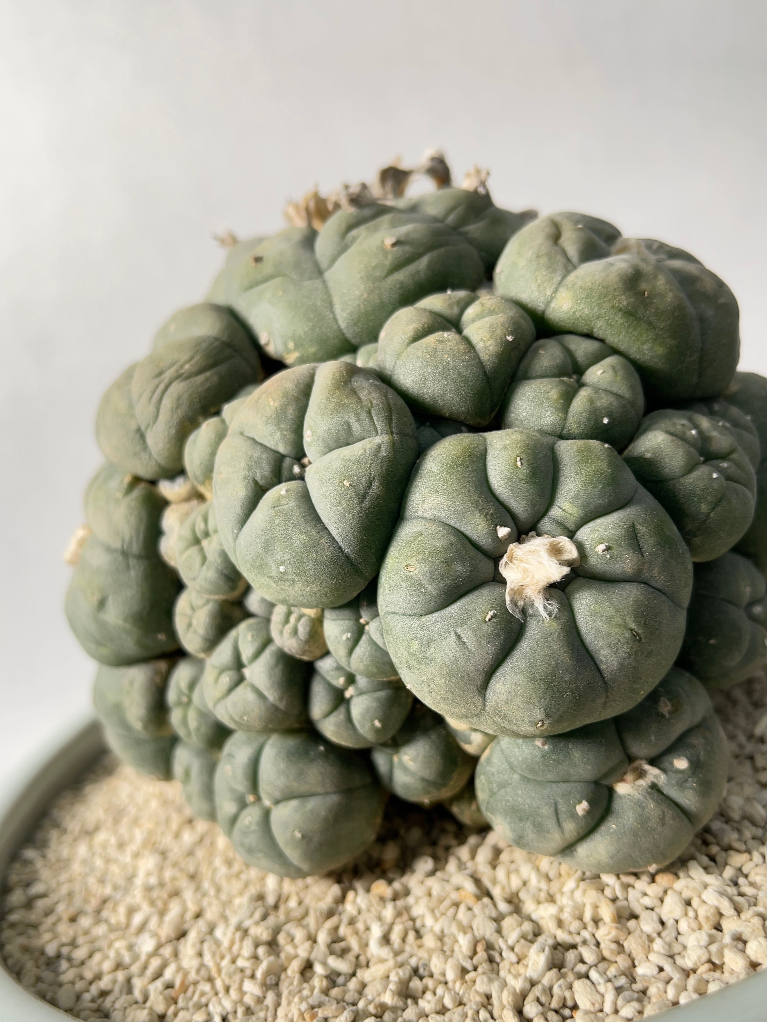 11cf4a09d1b0da40fc367d6e30274f