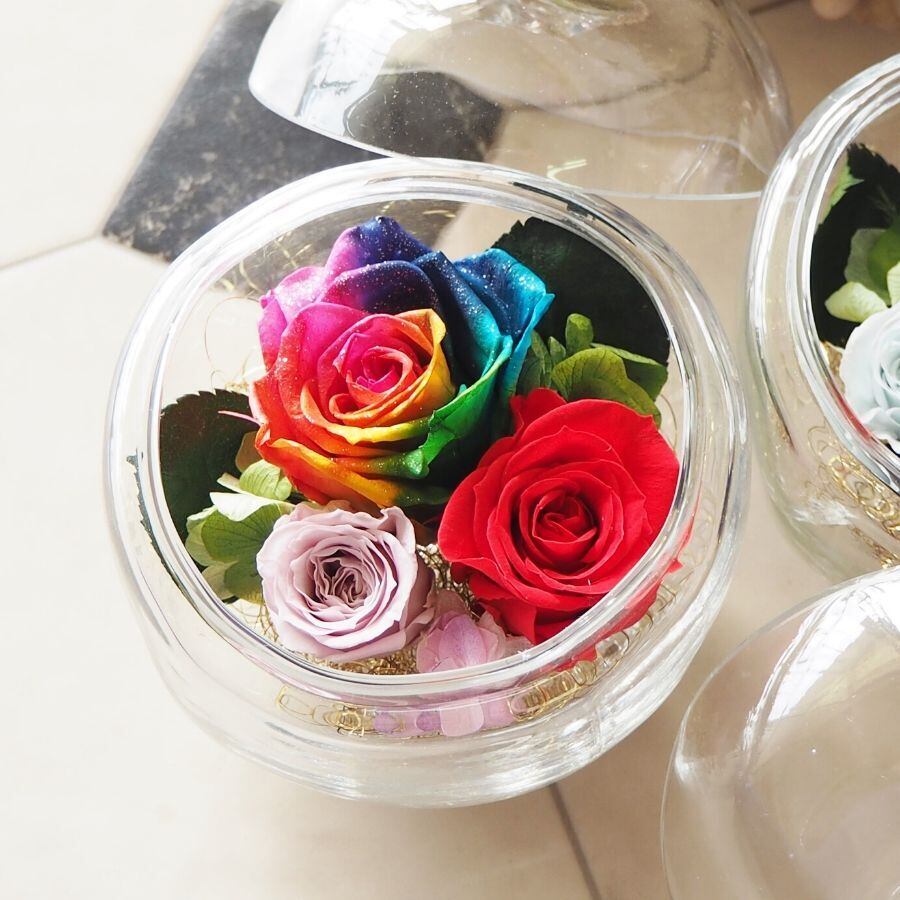 名入れ】プリザーブドフラワー レインボーローズ Poison Clear リンゴ