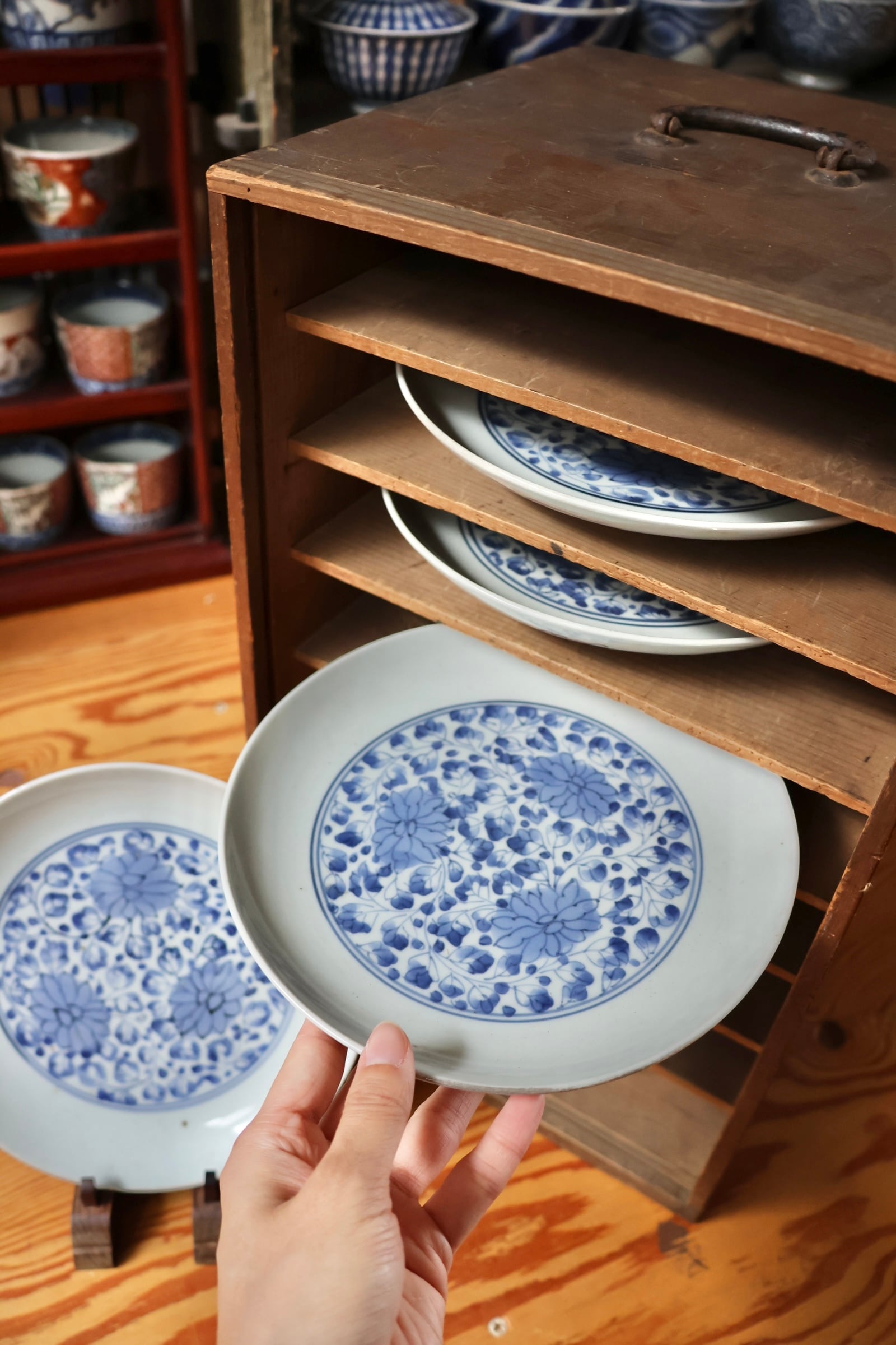 七寸 古伊万里 染付 花唐草文 中皿 | (有)新原美術