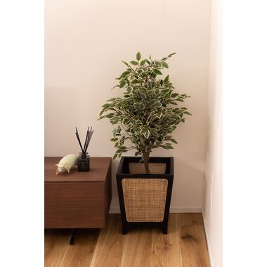 ラタンと高級木材ミンディのジャパンディなプランターカバー スクエア