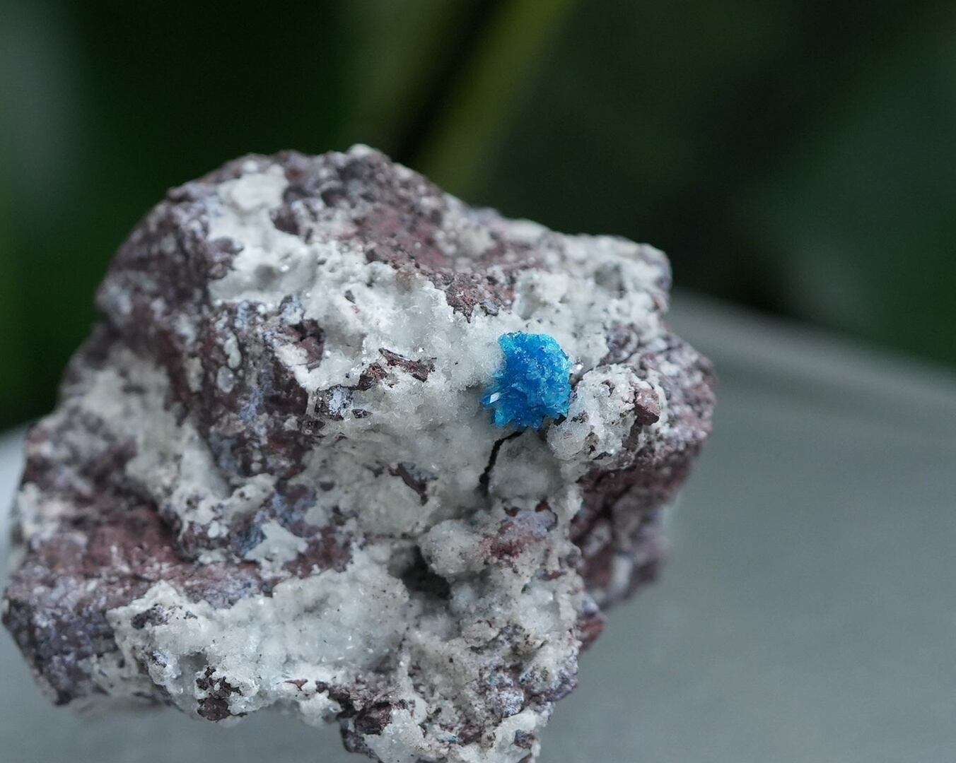 カバンサイト | Funky garuda Stone (ファンキー・ガルーダ・ストーン