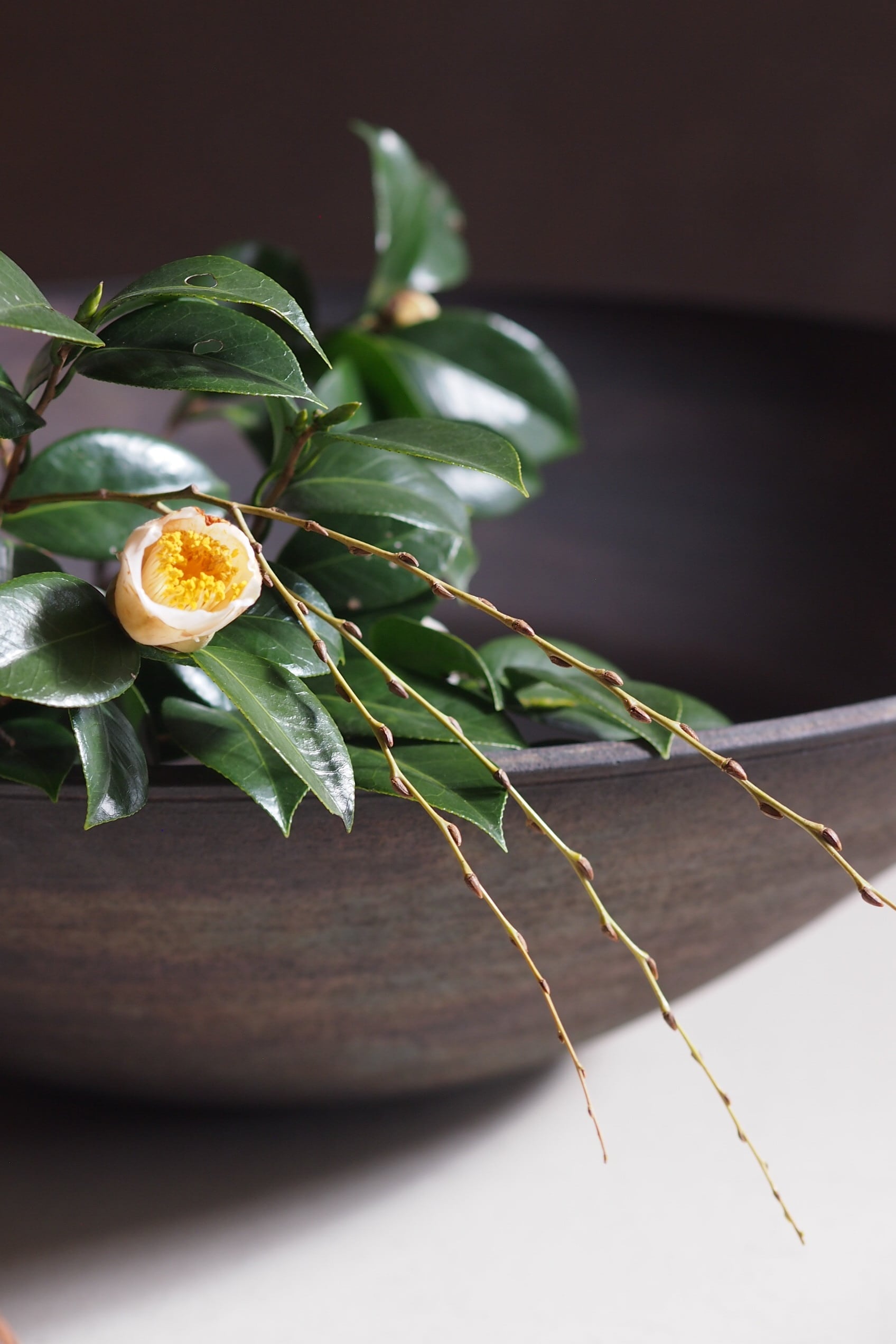 伊藤環 錆銀彩コンタクト大鉢 | 陶屋なづな