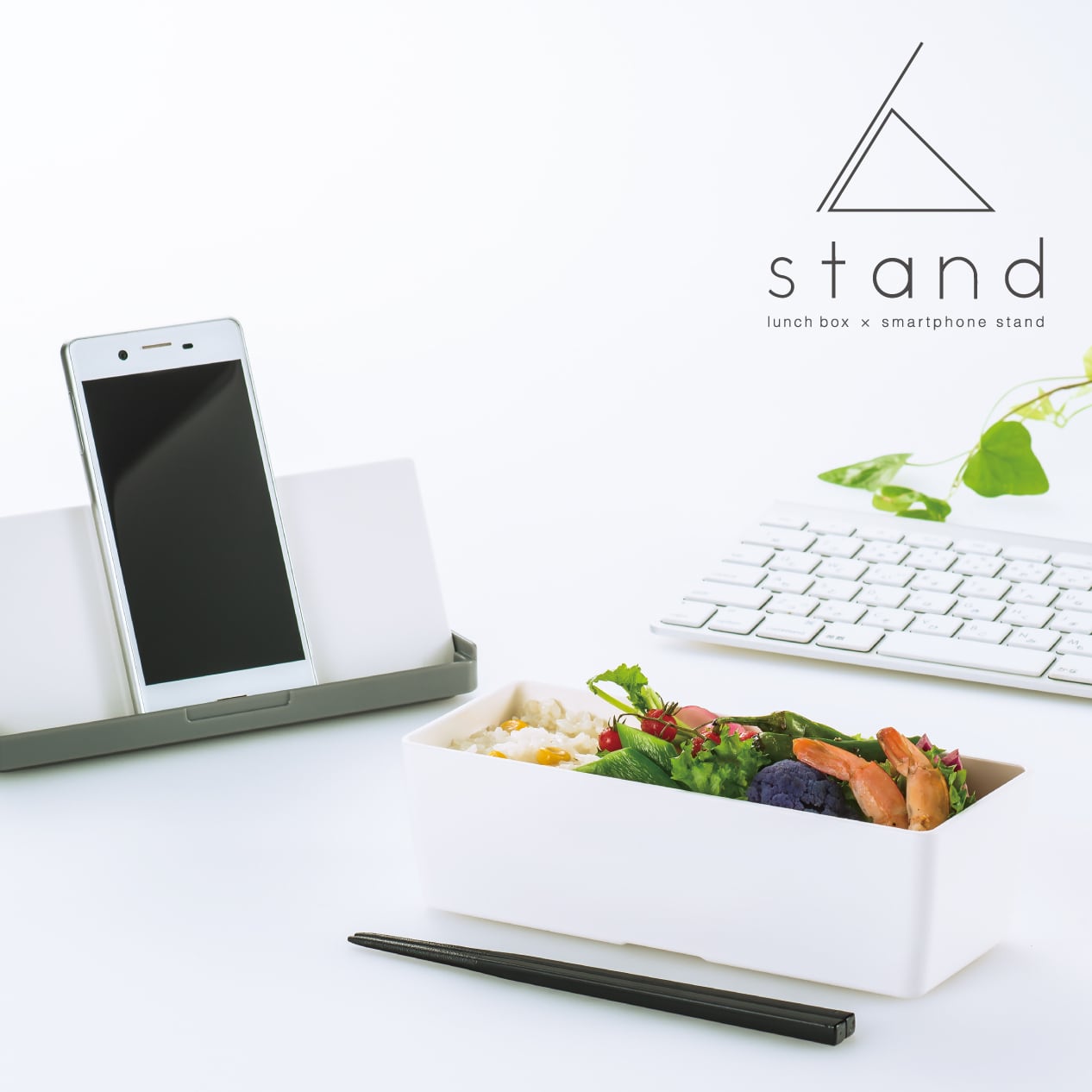 standランチボックス | 山中温泉弁当箱直売所 by SHOWA