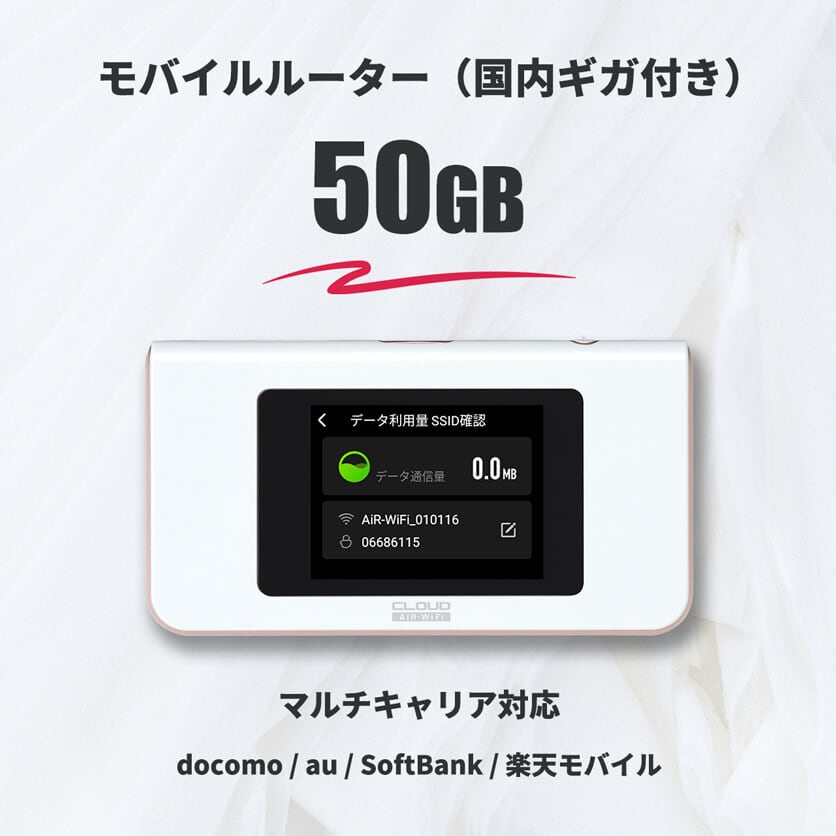 国内ギガ（50GB）+ モバイルルーター（HUNDRED Wi-Fi チャージ Type