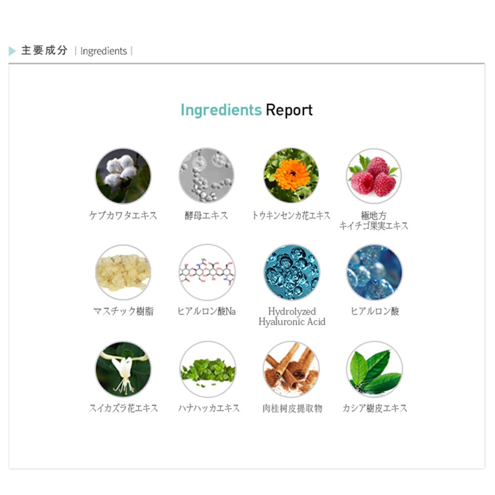 Rene-Cell】ルネセル アブソーバー ヒアルロニック セラム 30ml