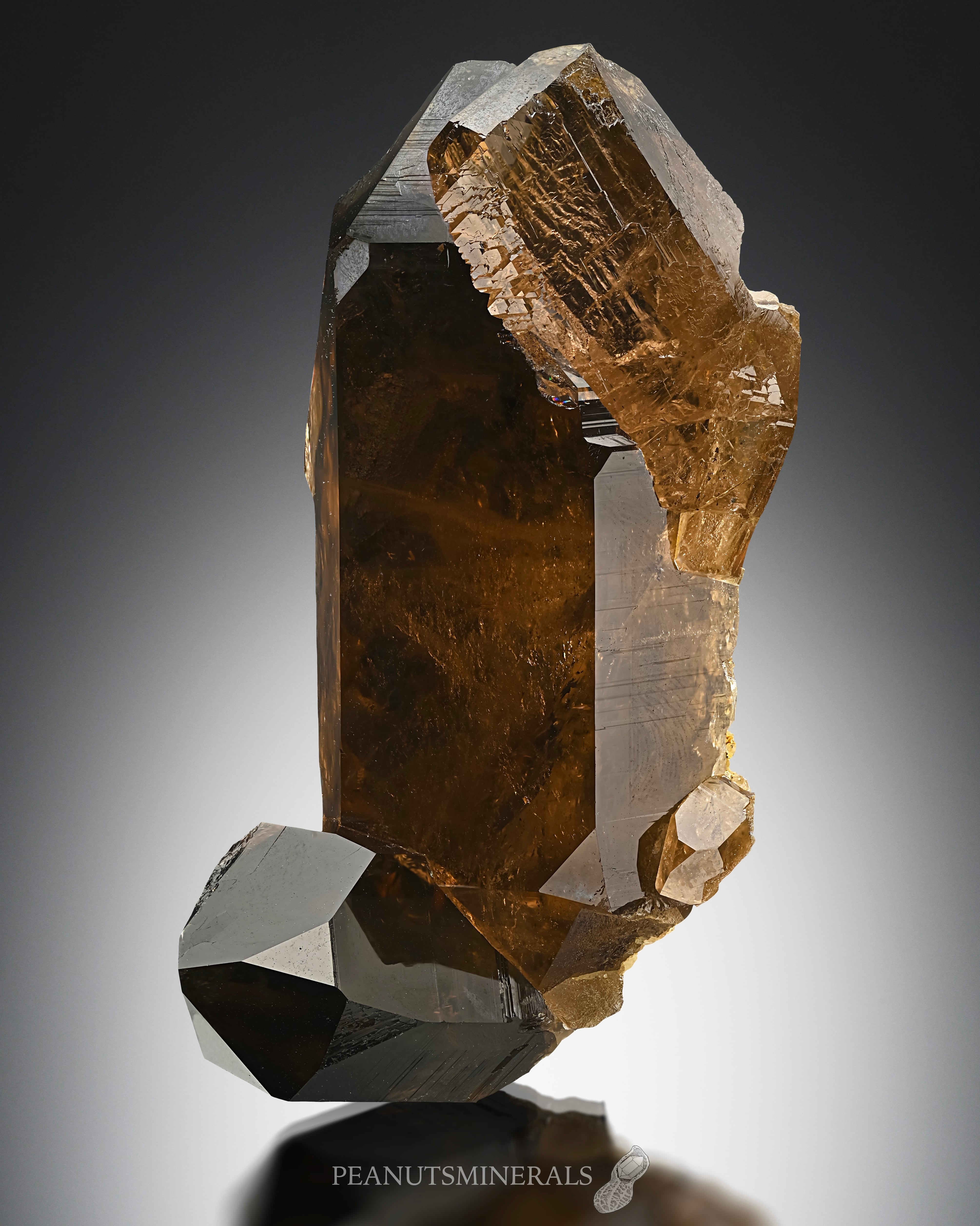 グインデル（クローズド） / スモーキークォーツ【Smoky Quartz with