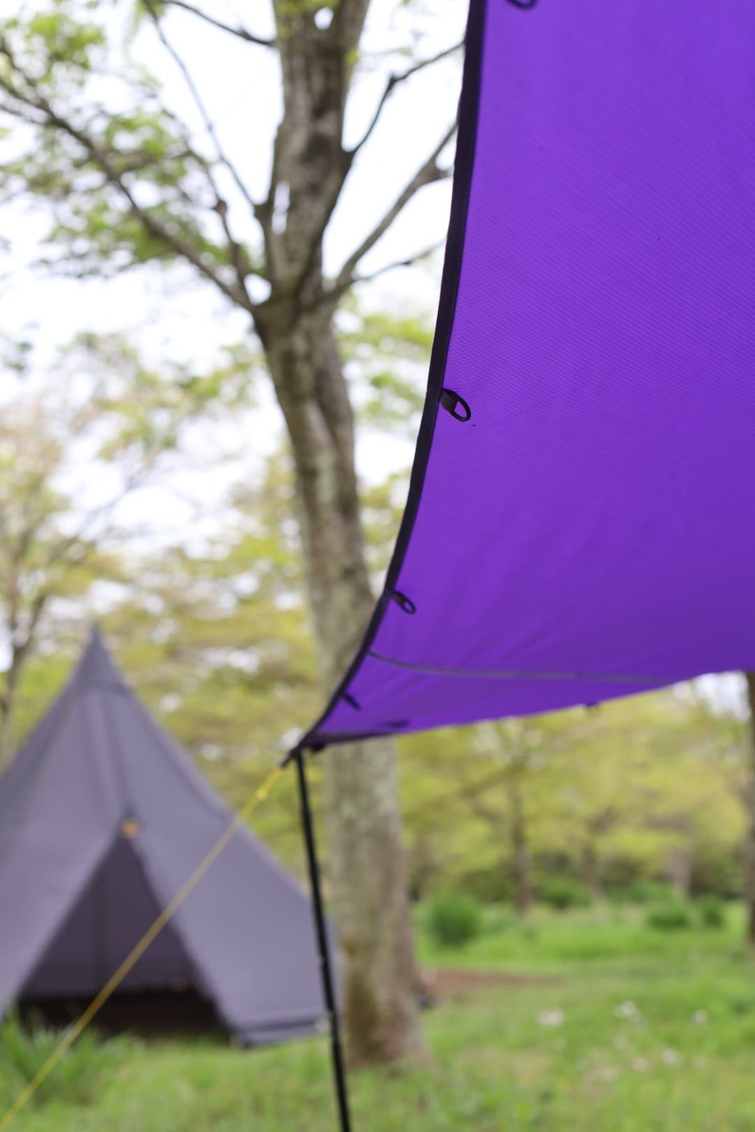 Flower Tarp | HAVeFUN GARAGE 犬 犬グッズ キャンプのお店