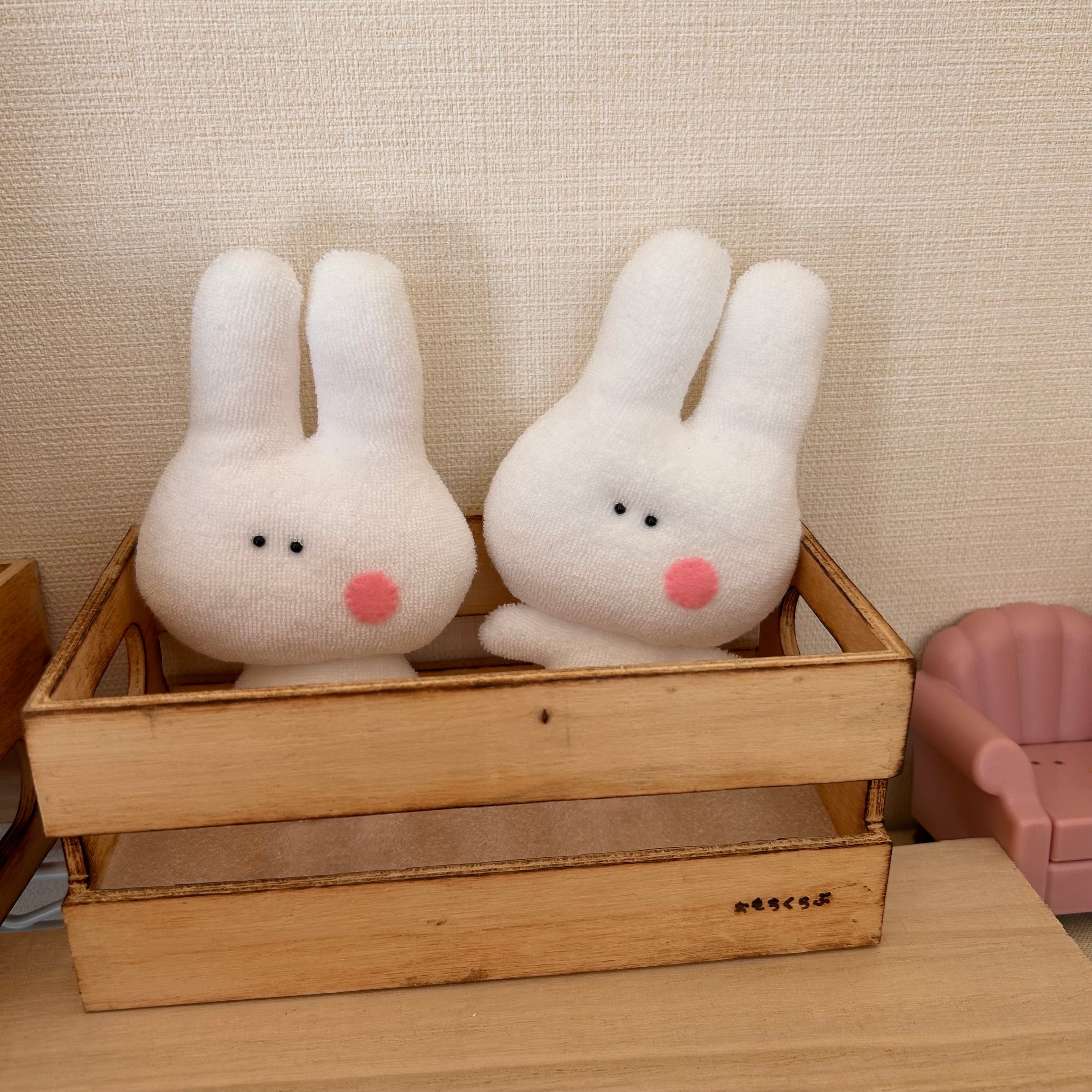 のびしろうさぎのうさぎ氏。 | おもちくらぶクリエイト