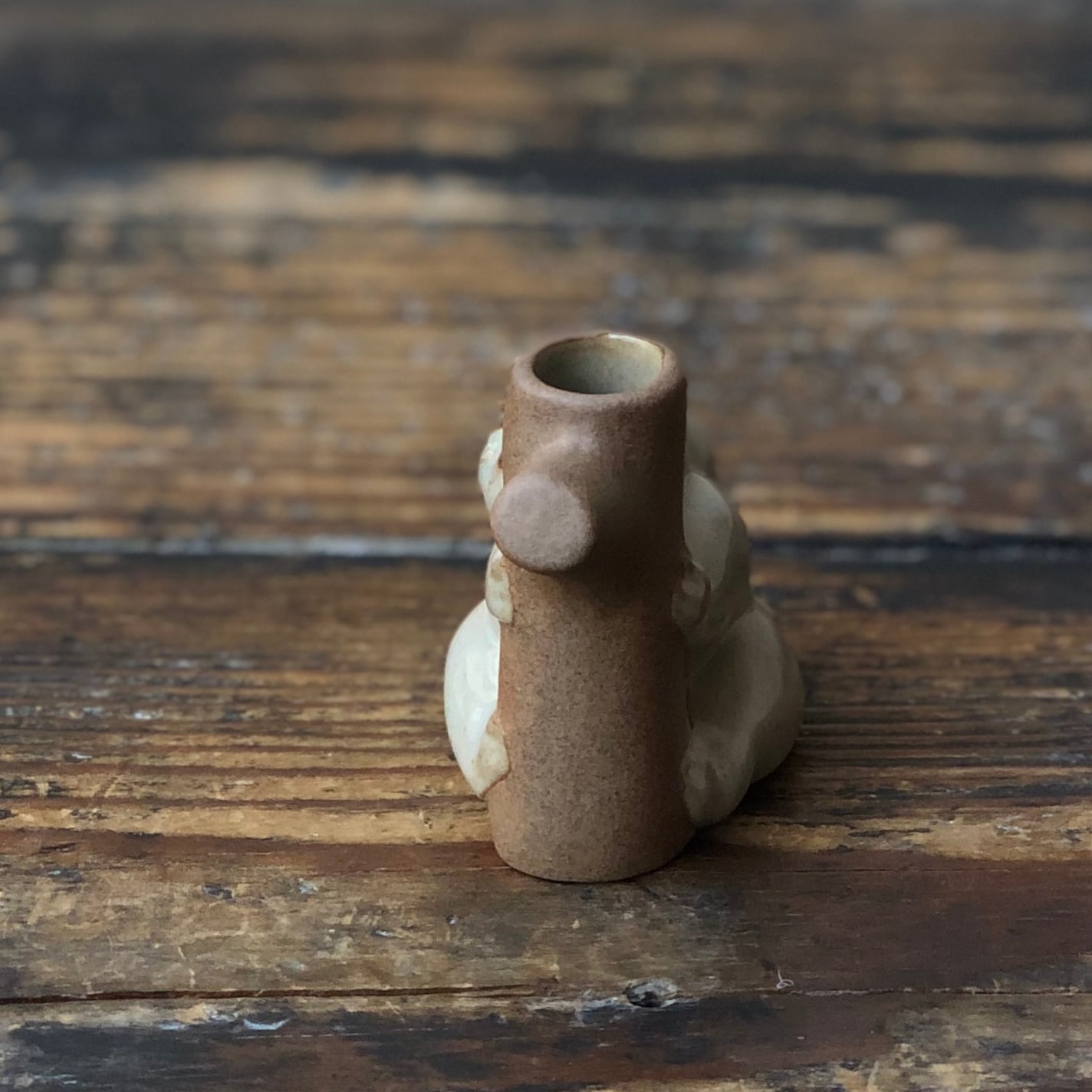 sen 花入れ コアラ | 器と雑貨ボタニカル