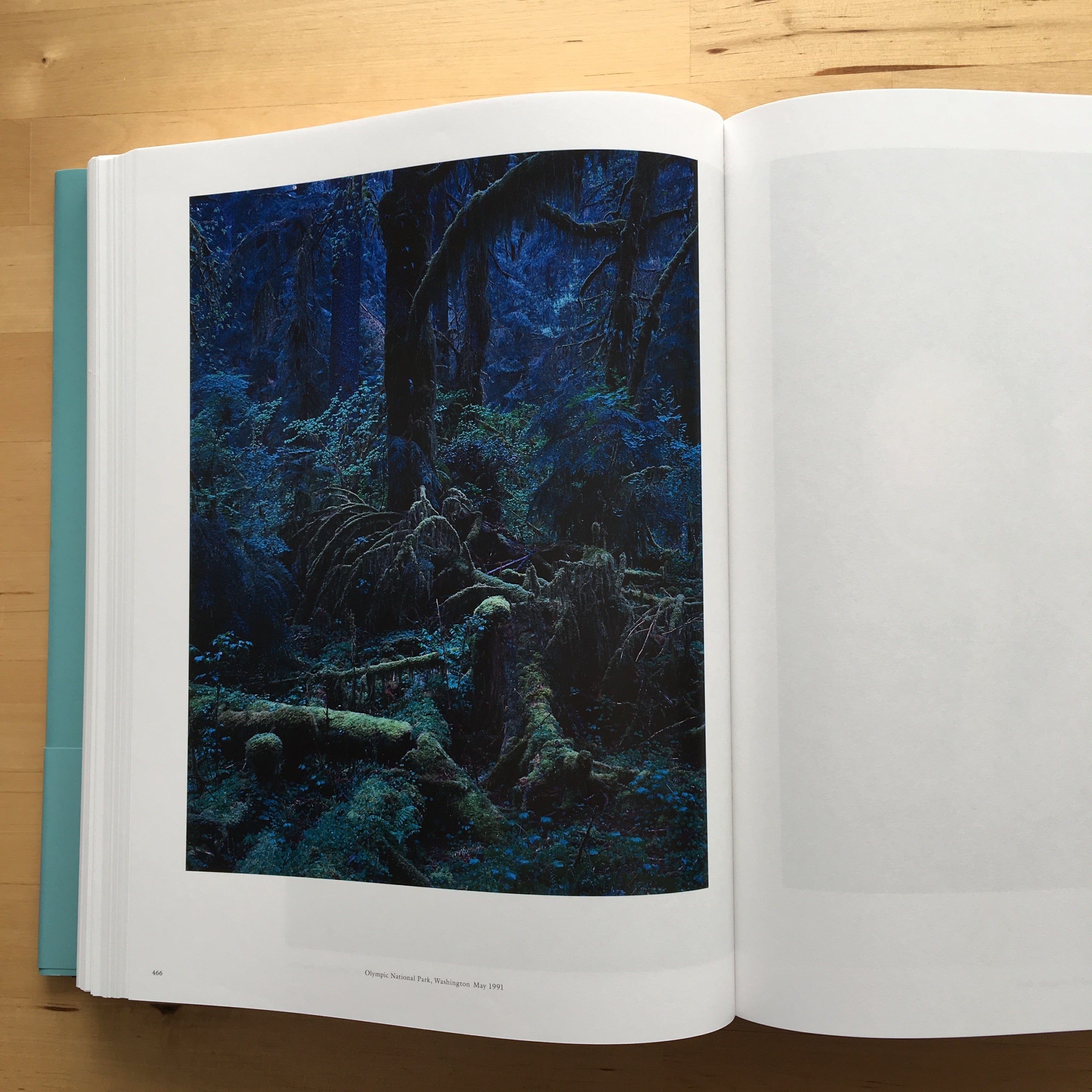 上田義彦『A Life with Camera』 | 羽鳥書店 Hatori Press