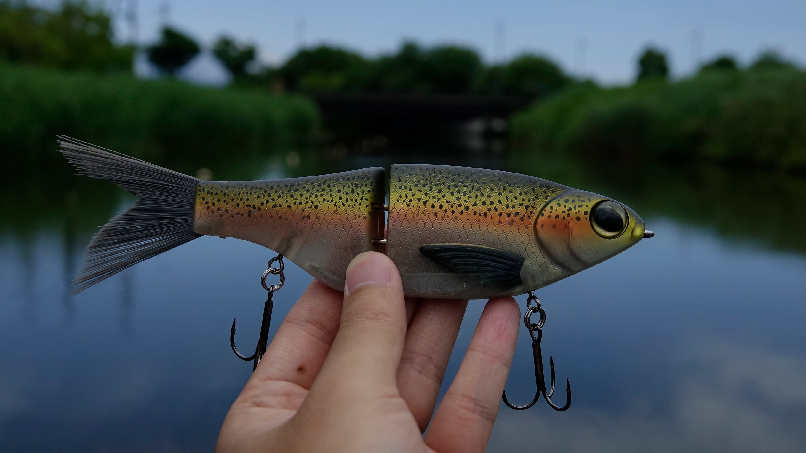 SPRO KGB Chad Shad 180 | Koy'sTackleBox