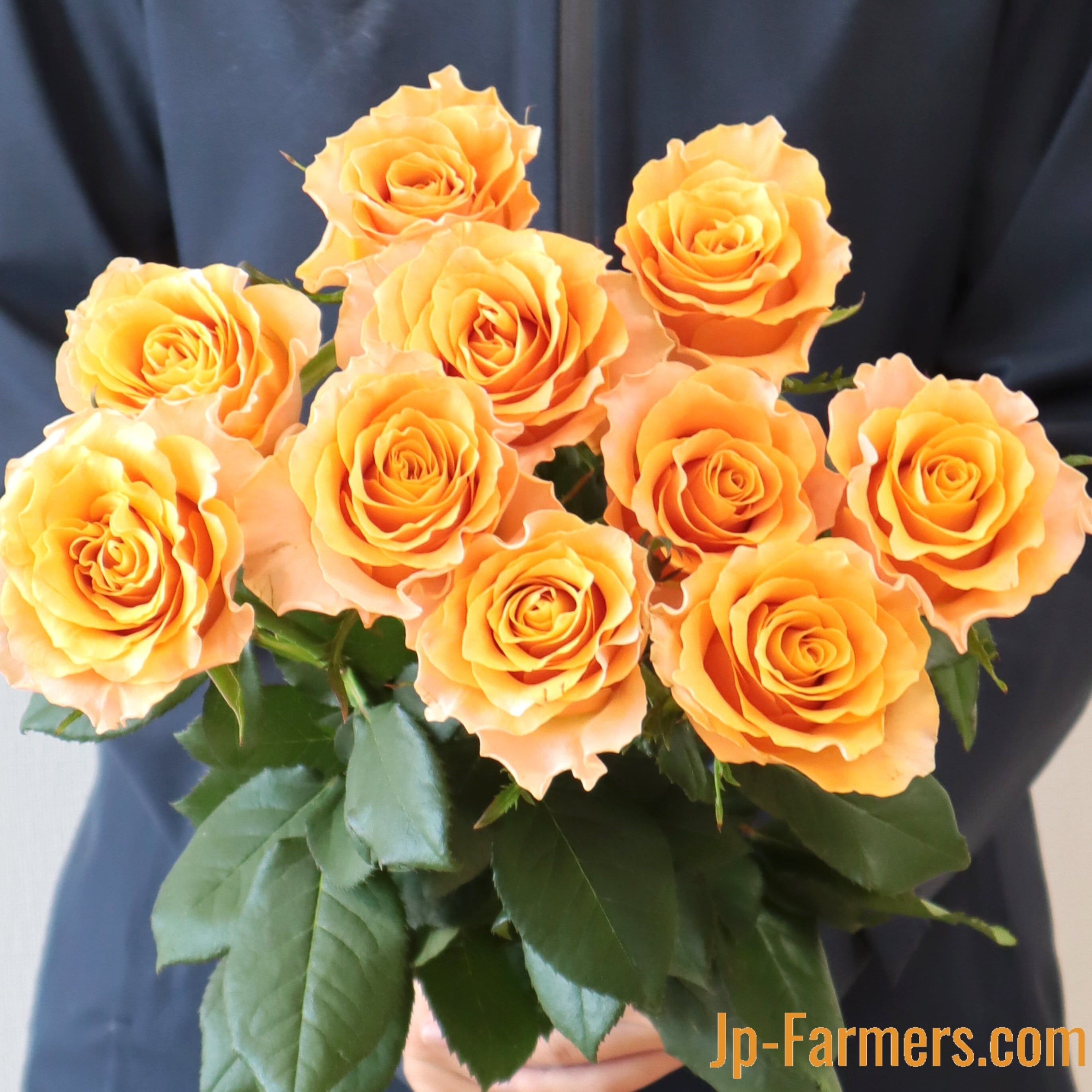 国産 オレンジバラ30本！ 品種はこちらにお任せ 60㎝以上 | 新鮮