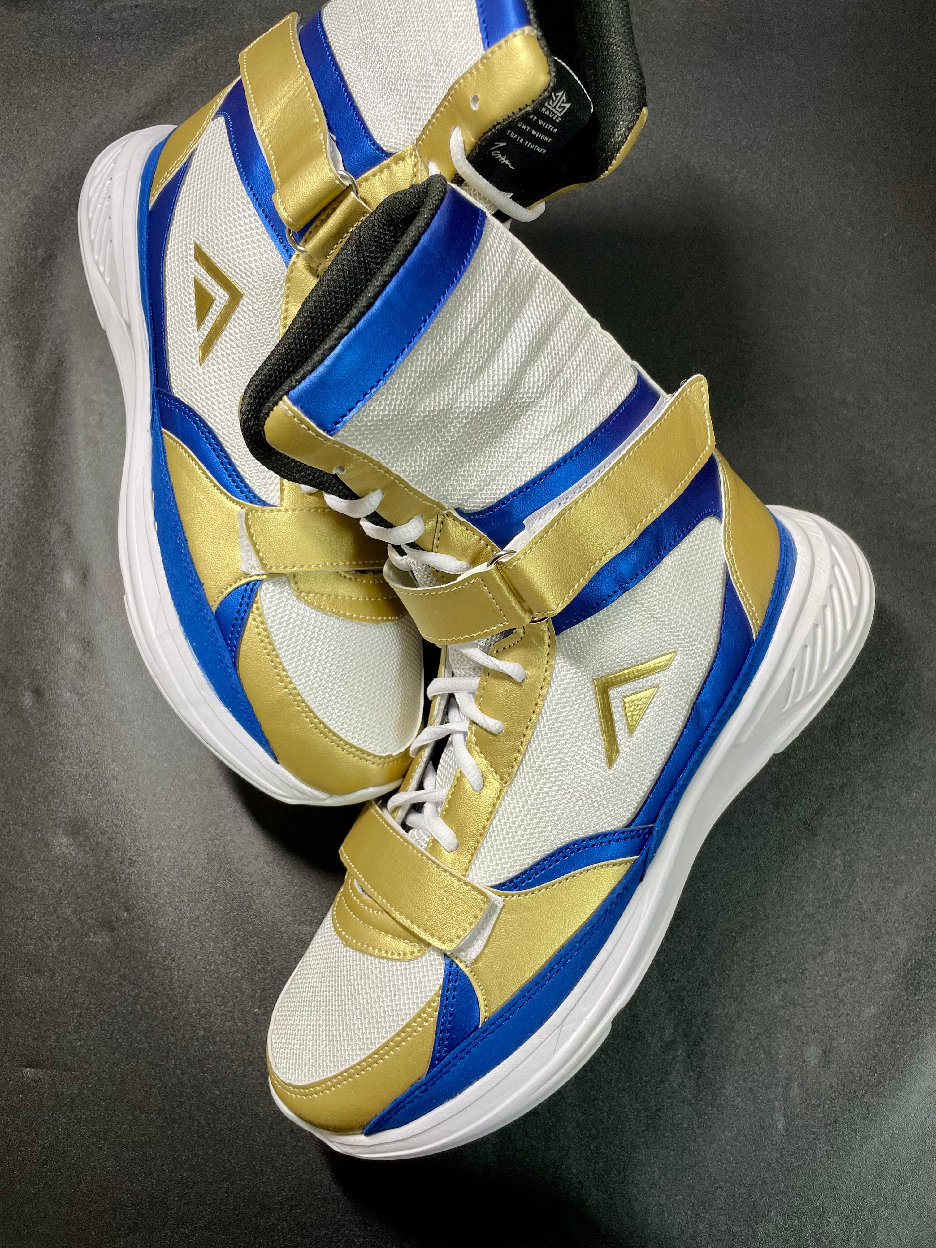 AdamsアダムスVトレーナー3.0 ボクシングシューズ メタリックブルー