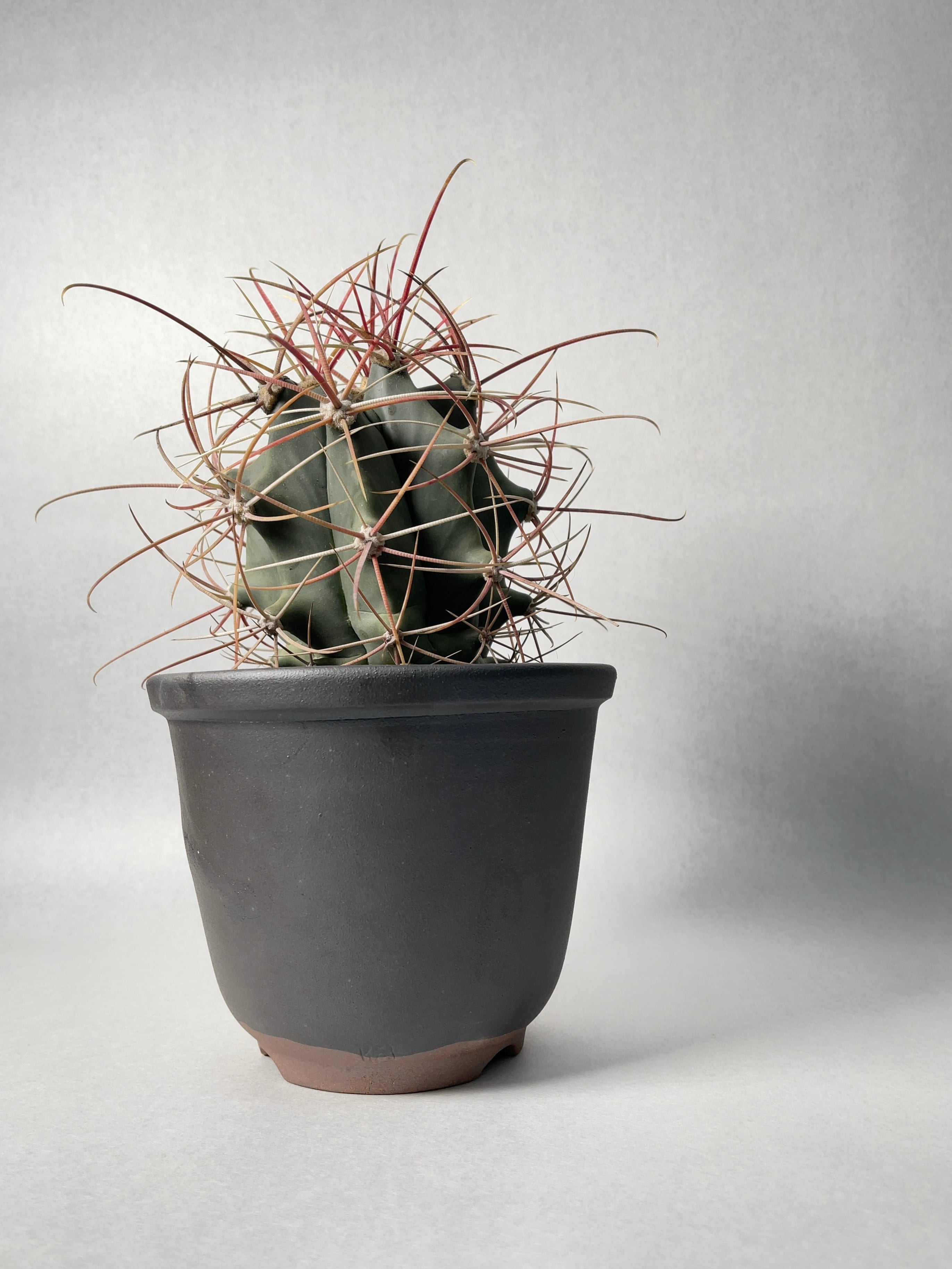 3da5657478e06d6421b56986a06aee