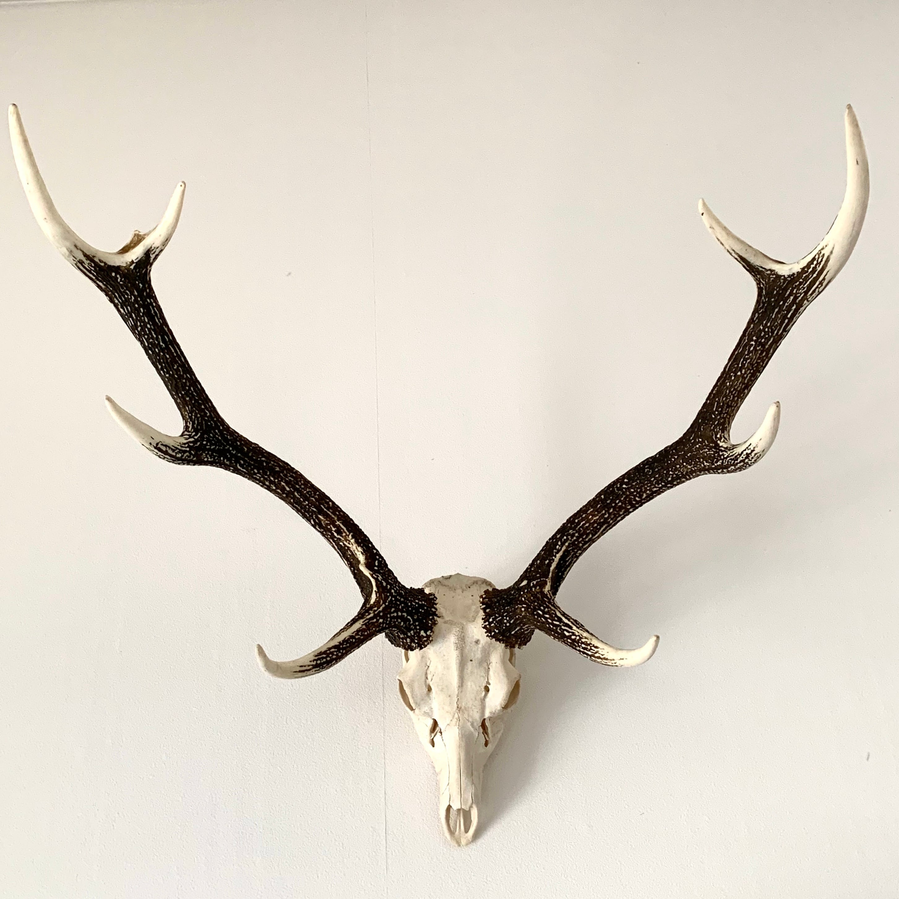 a0110646f116ca3015275a3d7d58cd