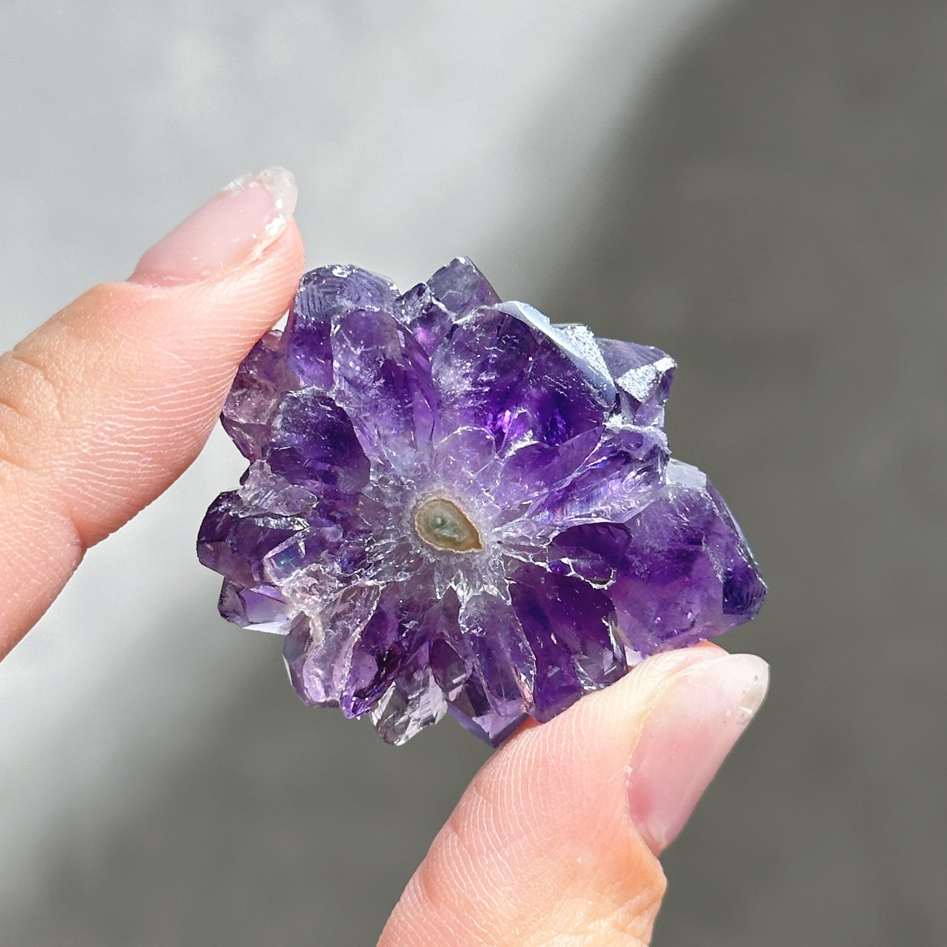 フラワーアメジスト スライス31◇ Flower Amethyst ◇天然石・鉱物