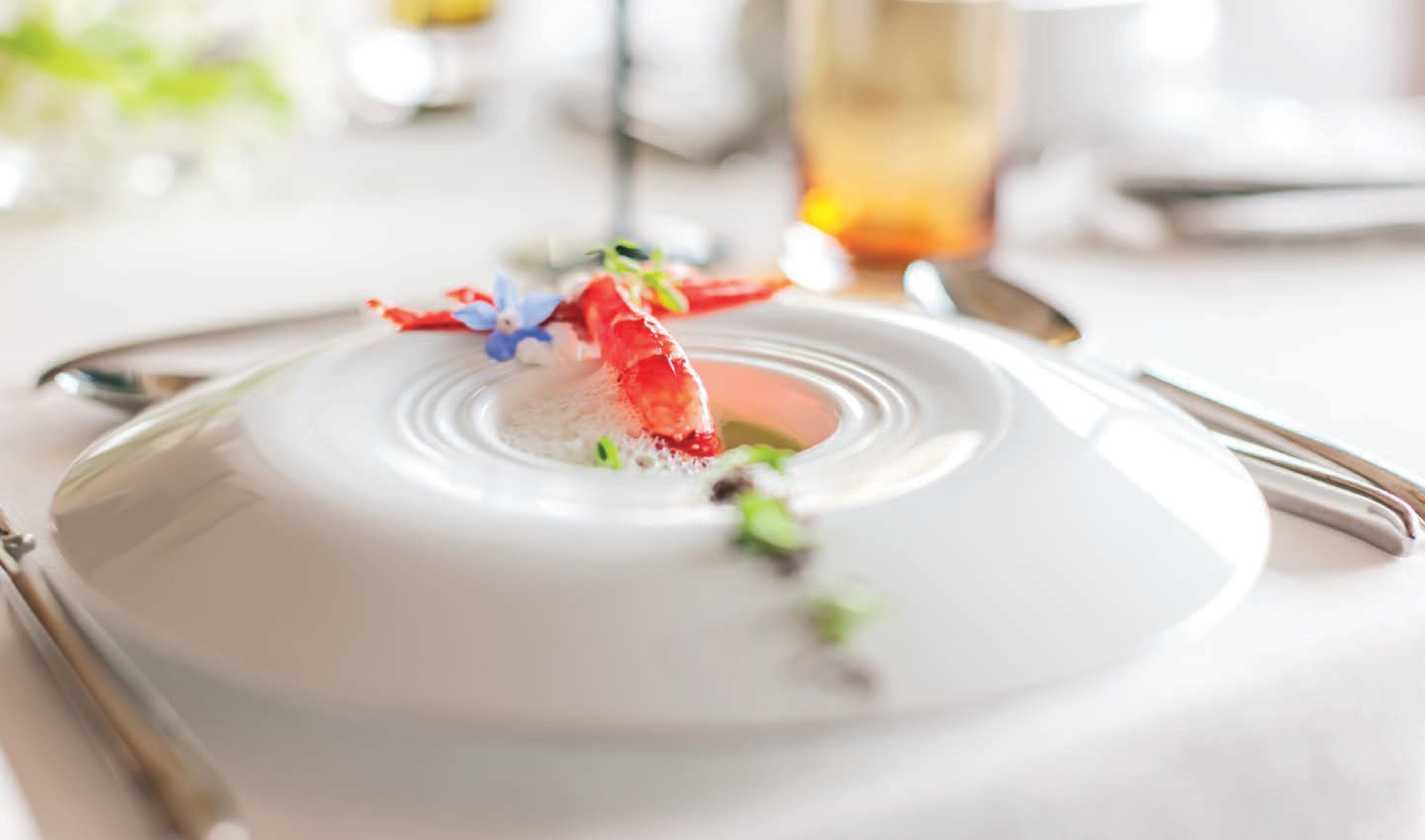 VISTA ALEGRE［ヴィスタ アレグレ］ | おしゃれなヨーロッパの高級