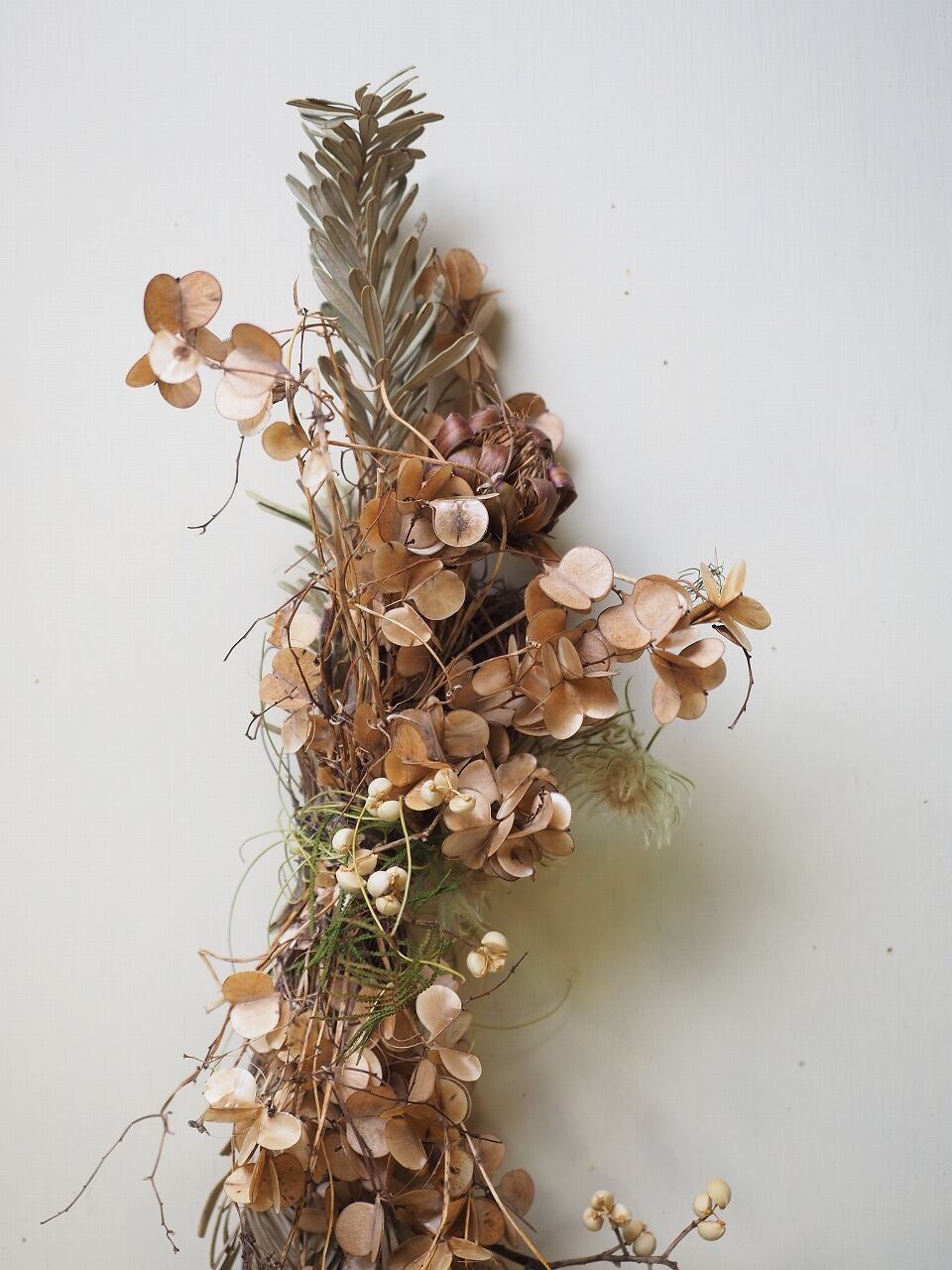 販売済み】超巨大/11/11発見【山芋の花殻】スワッグ/ドライフラワー/花