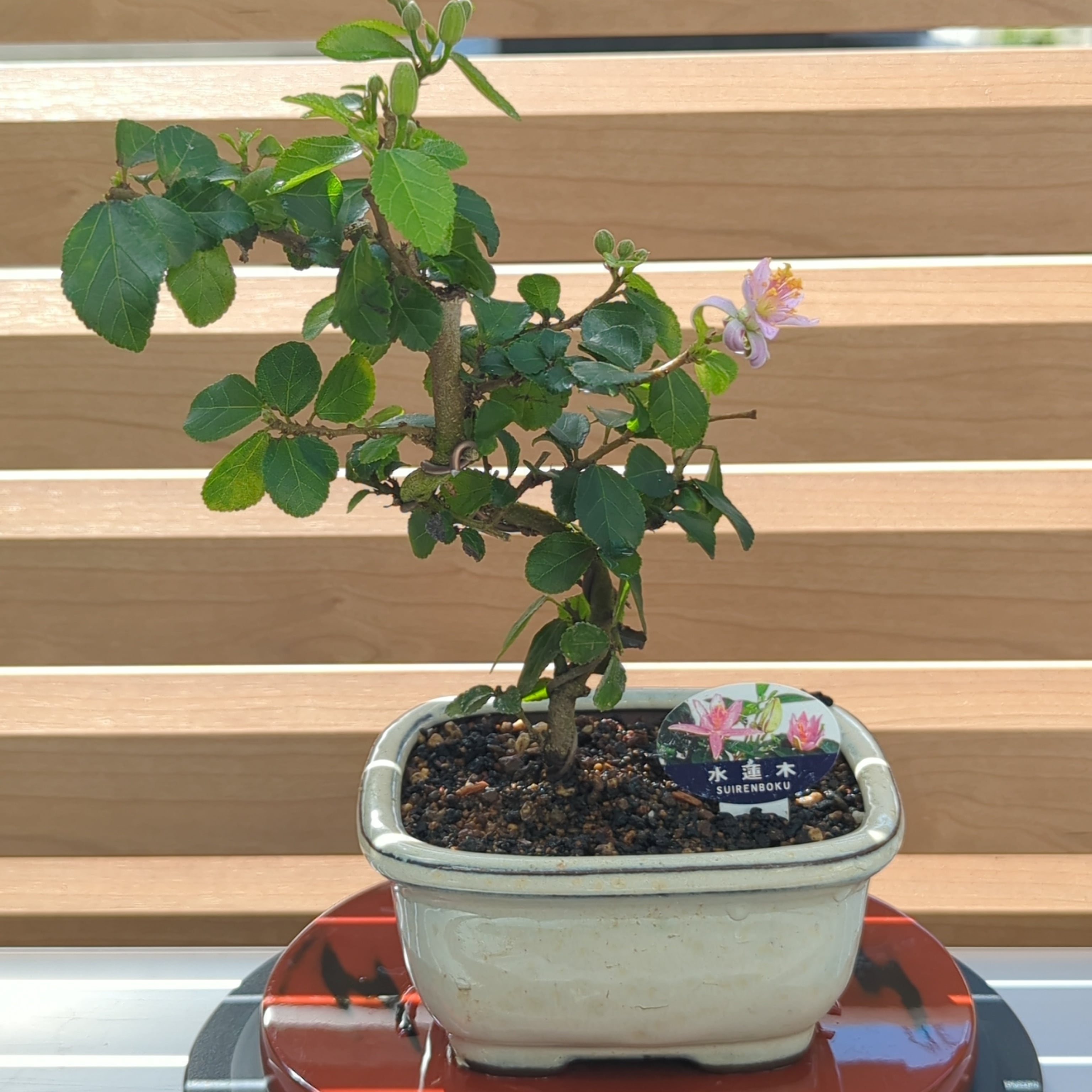 af4bbb663440fe5a7e033eab6e8f9f