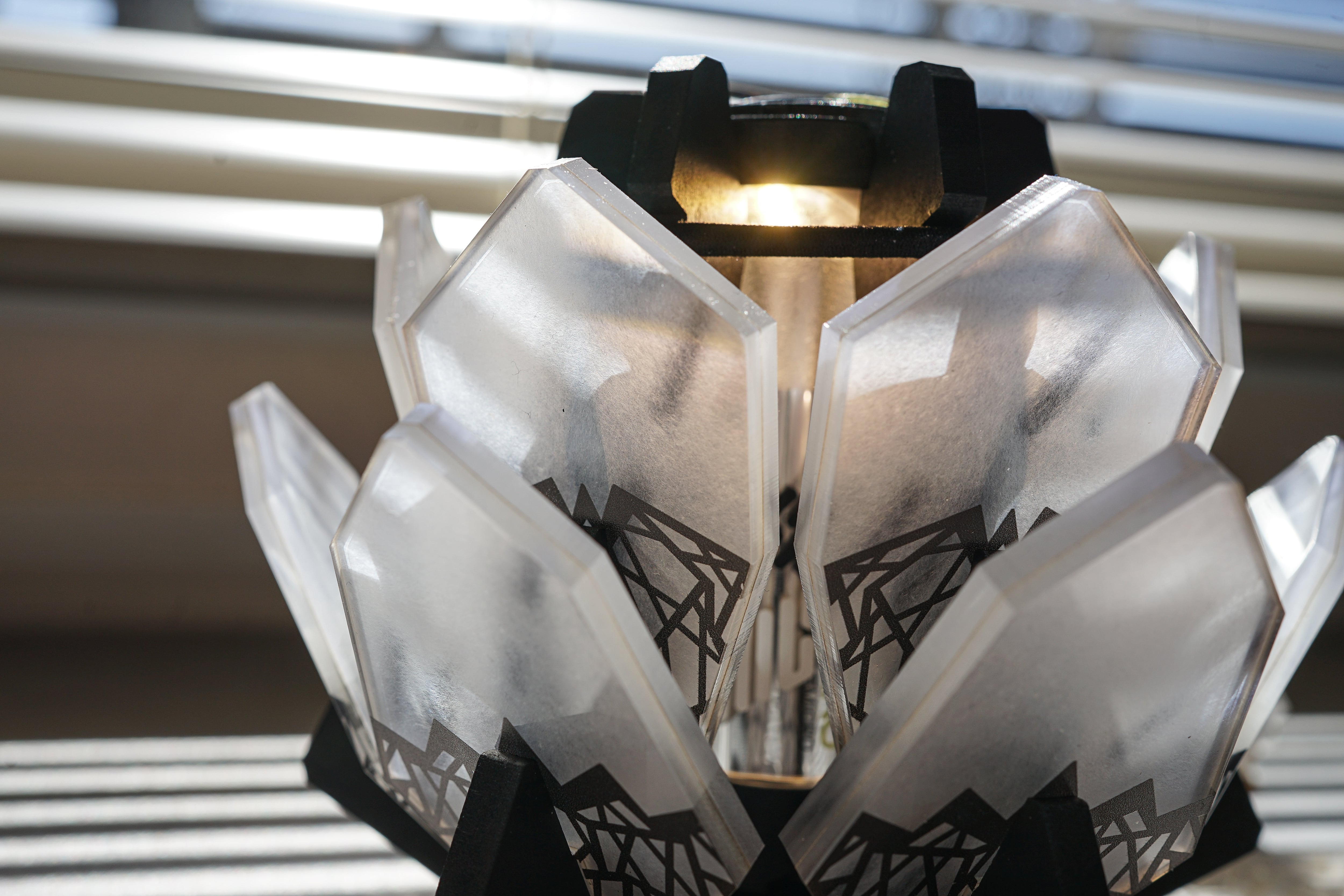 ソウラボ アガベシェード セット売り 【公式通販】