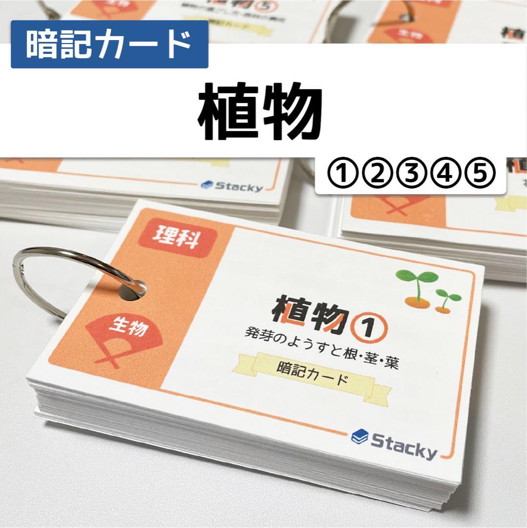中学受験 植物（理科） 暗記カード | Stacky 〜子どもたちの学習効果