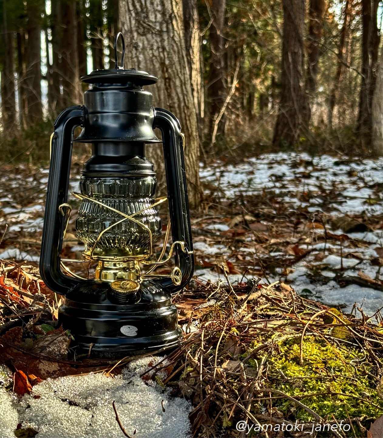 DRAGON | Yamatoki Janefo