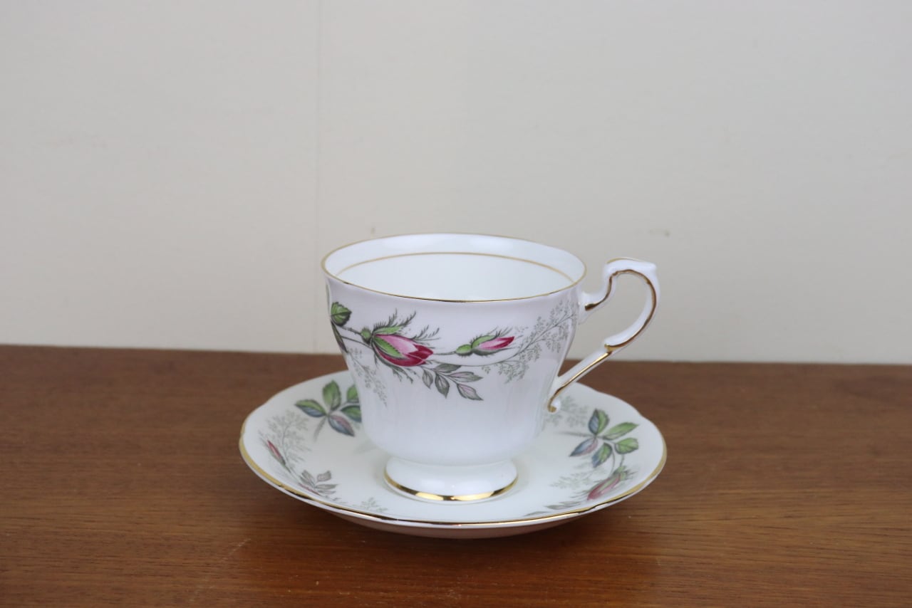 パラゴン（PARAGON） | epoca