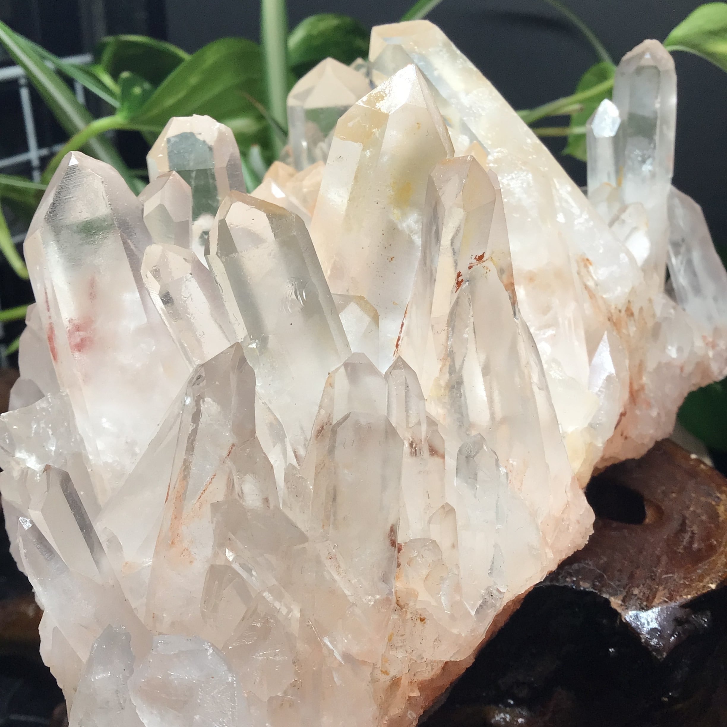 スター巨大【爆レア‼️超美人！！希少！！聖美結晶】ヒマラヤピンク