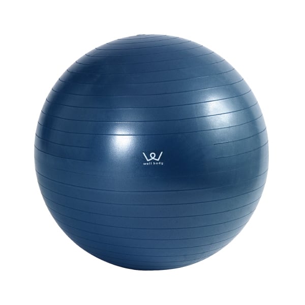 エクササイズボール75cm WBF075 | ALINCO FITNESS