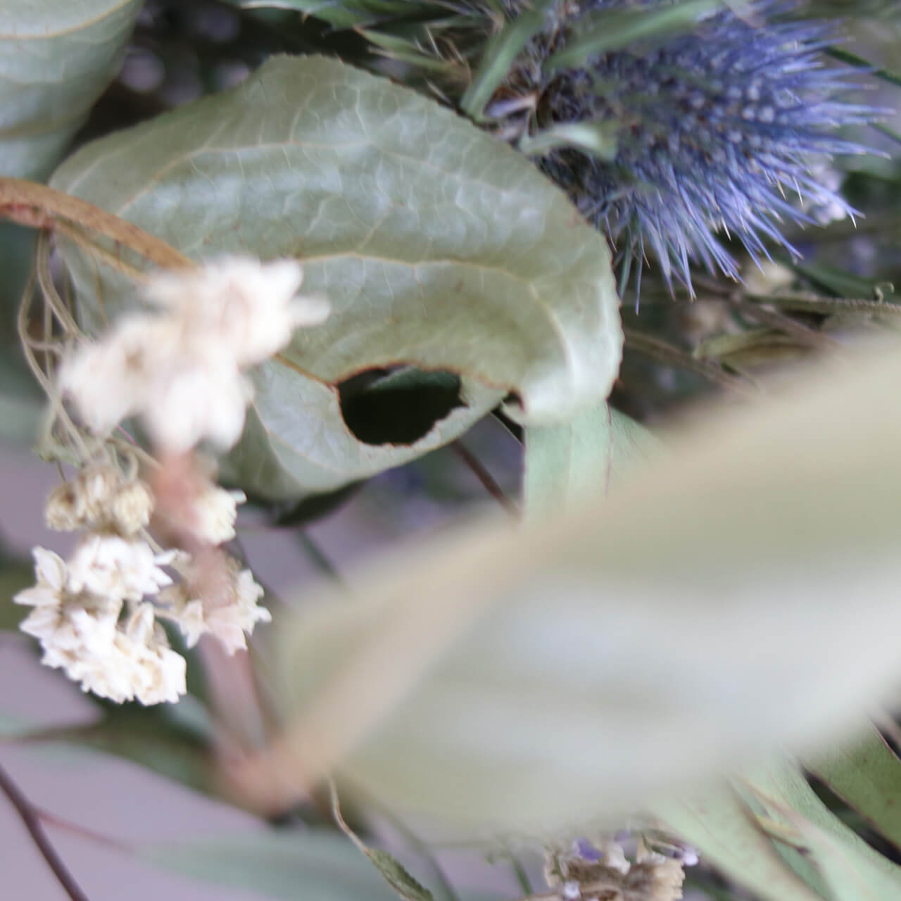 ブルーグリーンスワッグ ドライフラワー ＊ エリンジュームのシックな