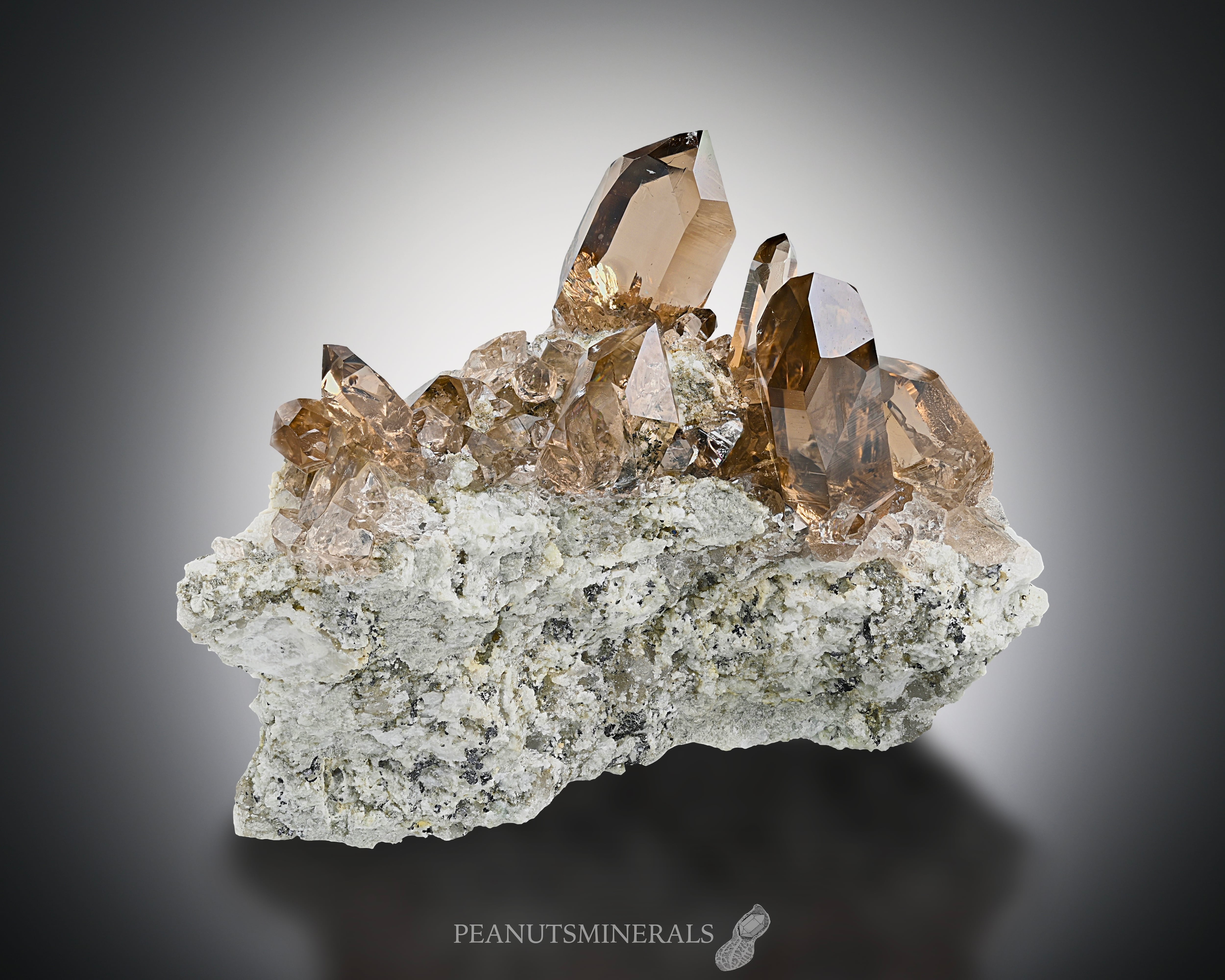 c3867614035c2b73b1b3f456e231e9