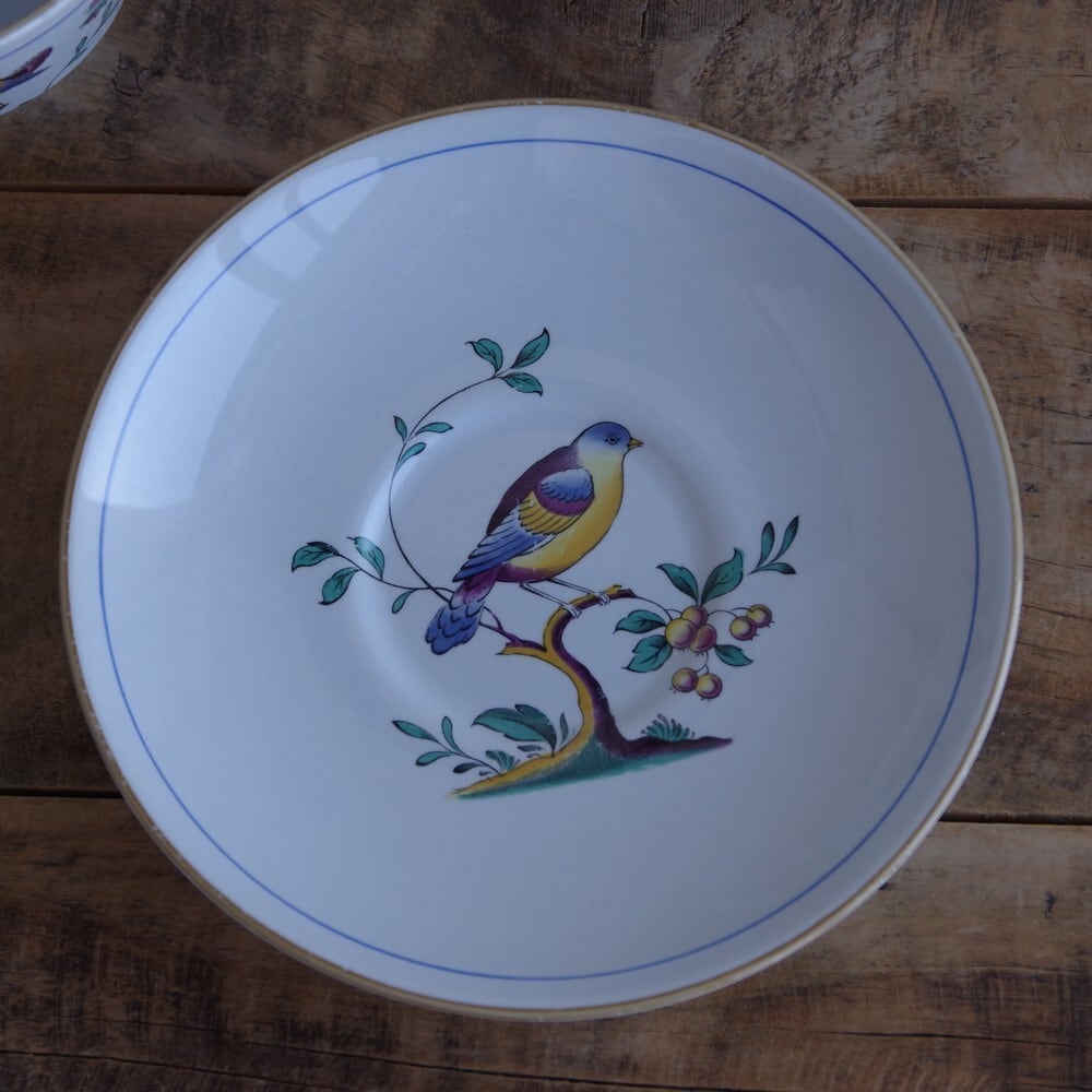 スポード クィーンズバード ティーカップ ソーサー 鳥 イギリス