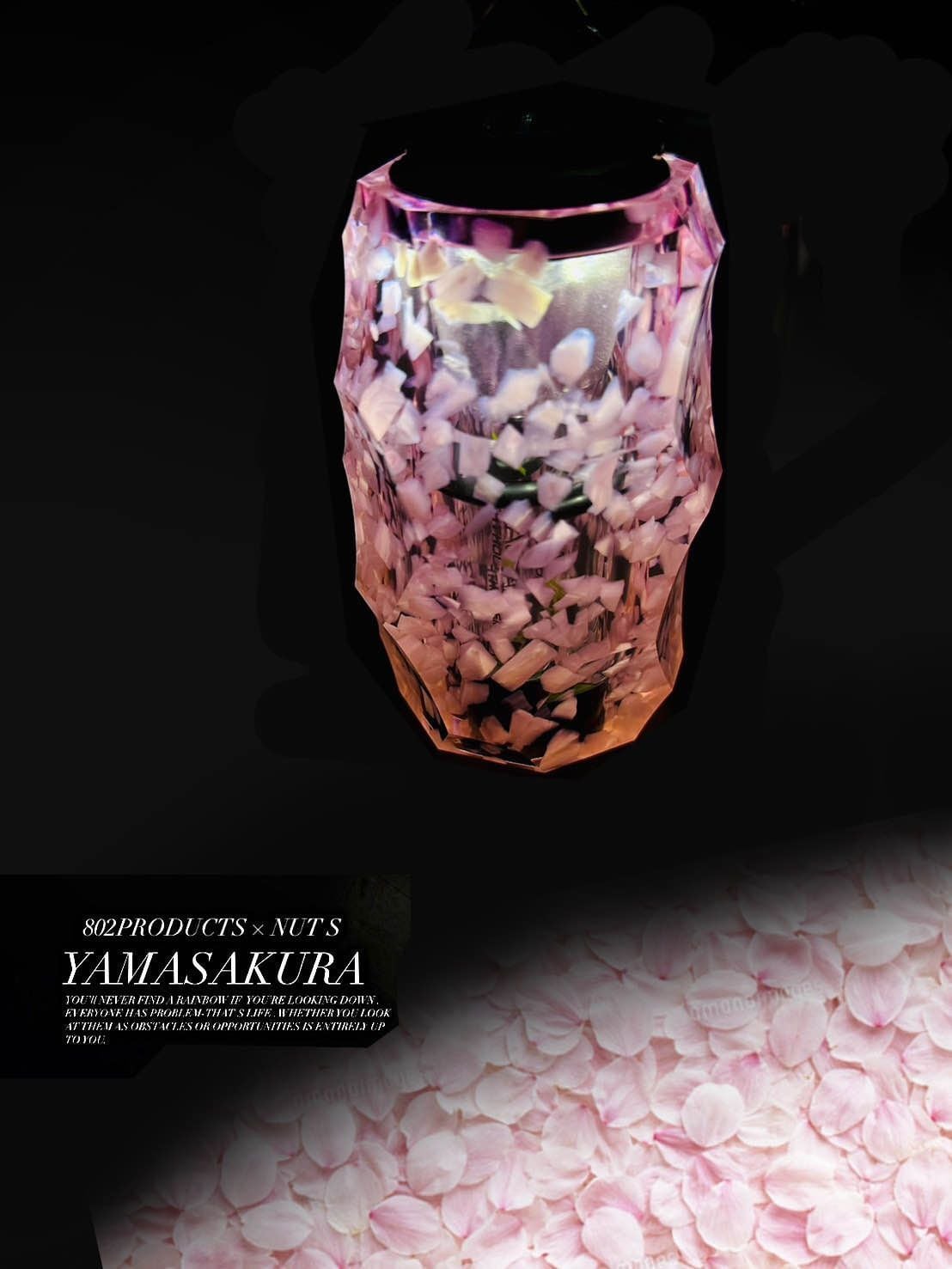 NUTS × 802PRODUCTS BRIESTA 山桜 YAMASAKURA ゴールゼロ | 802 PRODUCTS