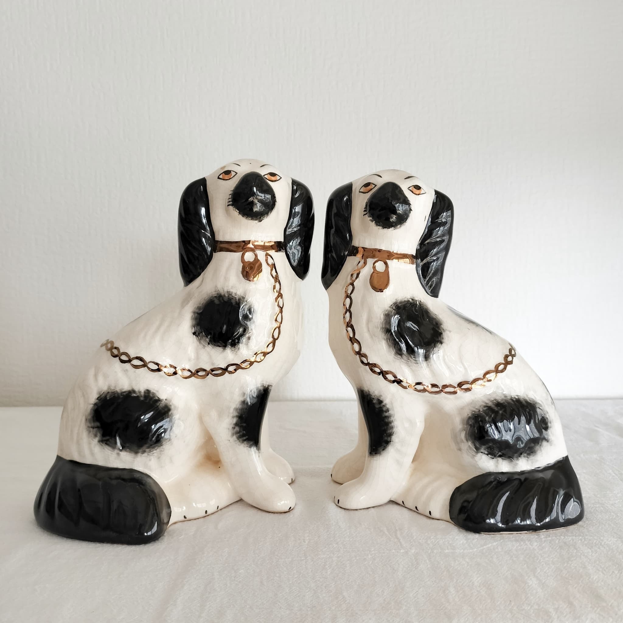 スタッフォードシャードッグ専門店